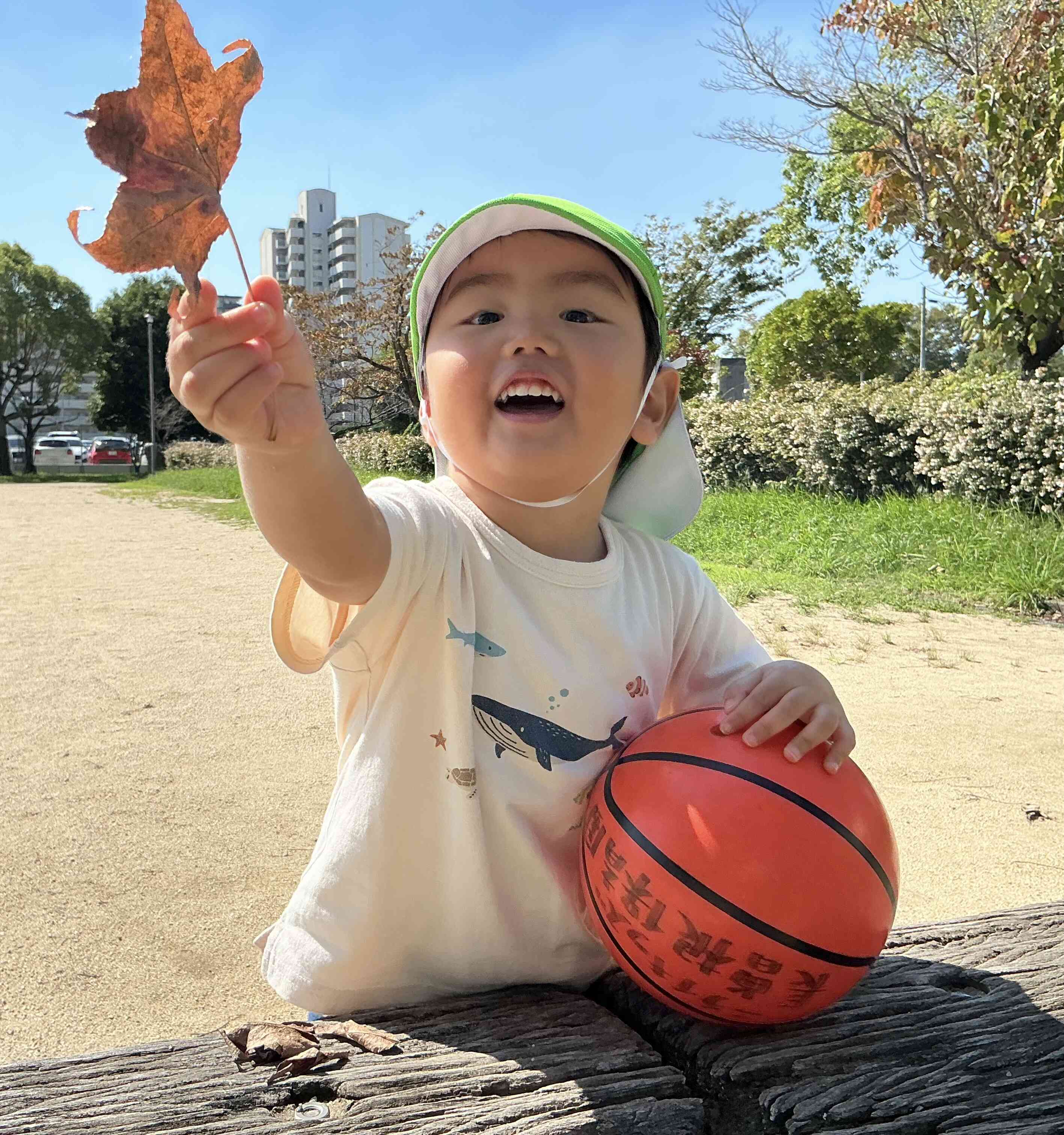 「葉っぱあったー」と嬉しそうに見せてくれています!