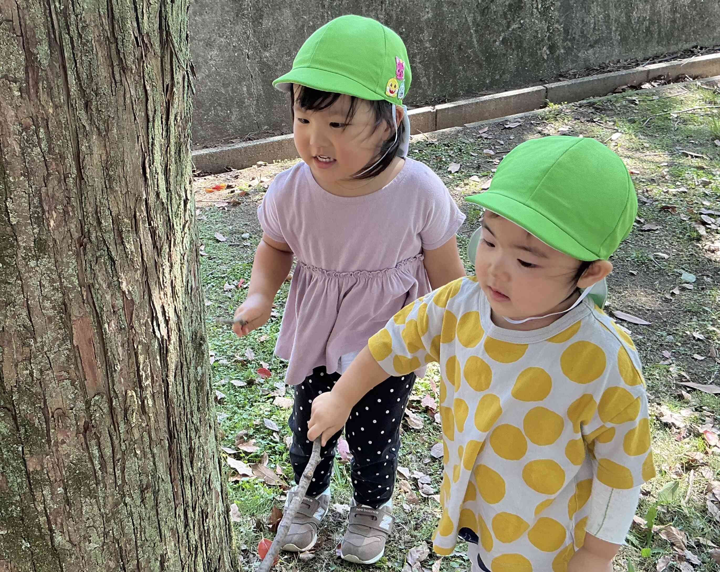 木の隙間から何が出てくるかなぁ〜？？