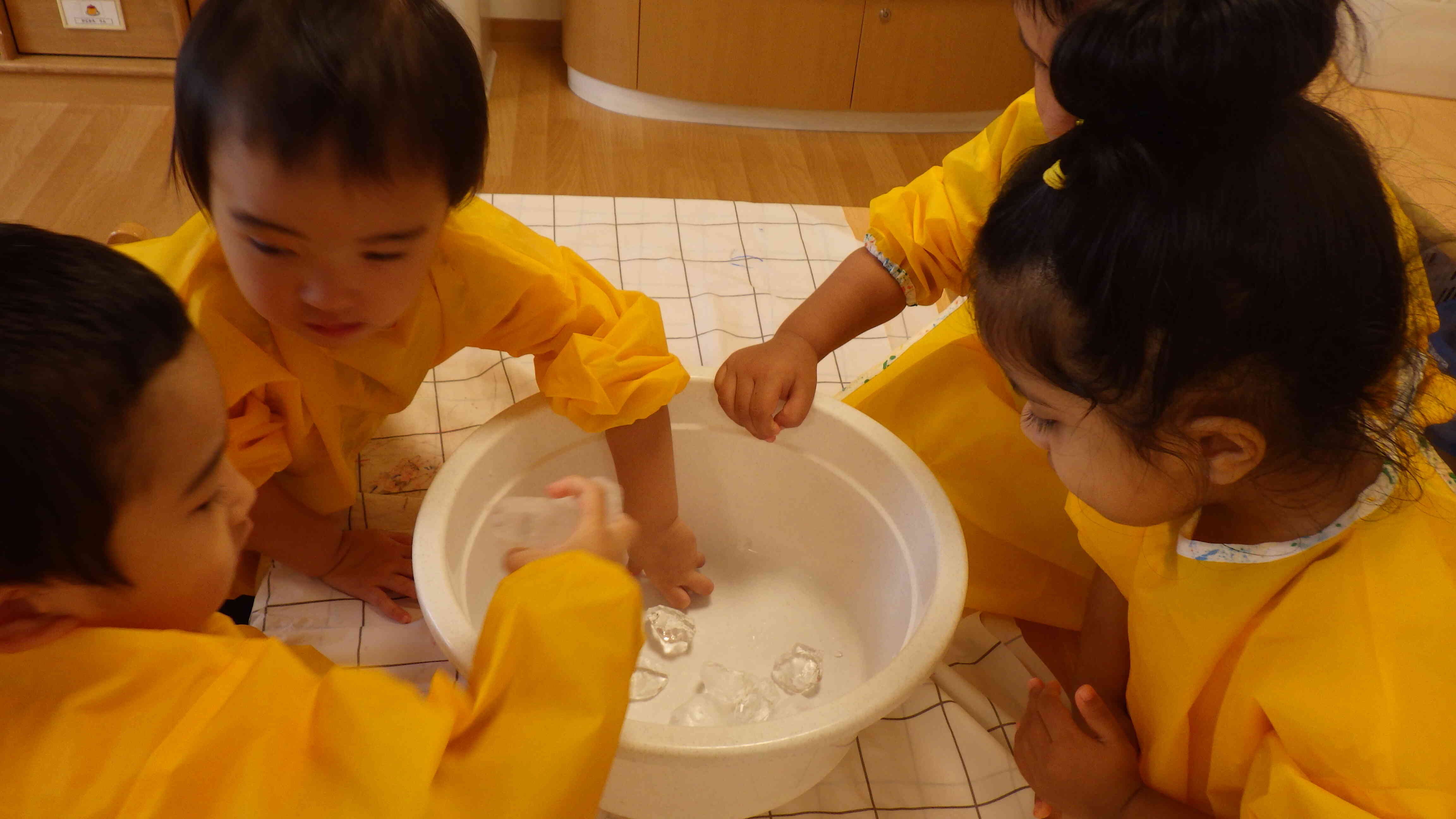 　STEAM  氷つめた～い！  【2歳児】