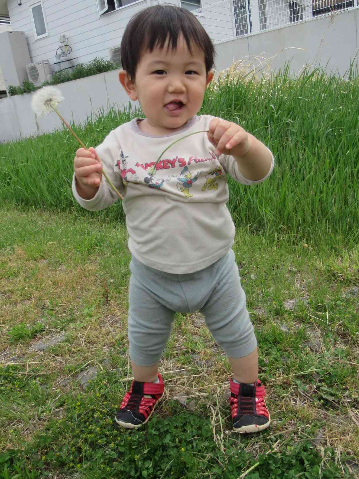 ひよこ組　初めての農道散歩♪