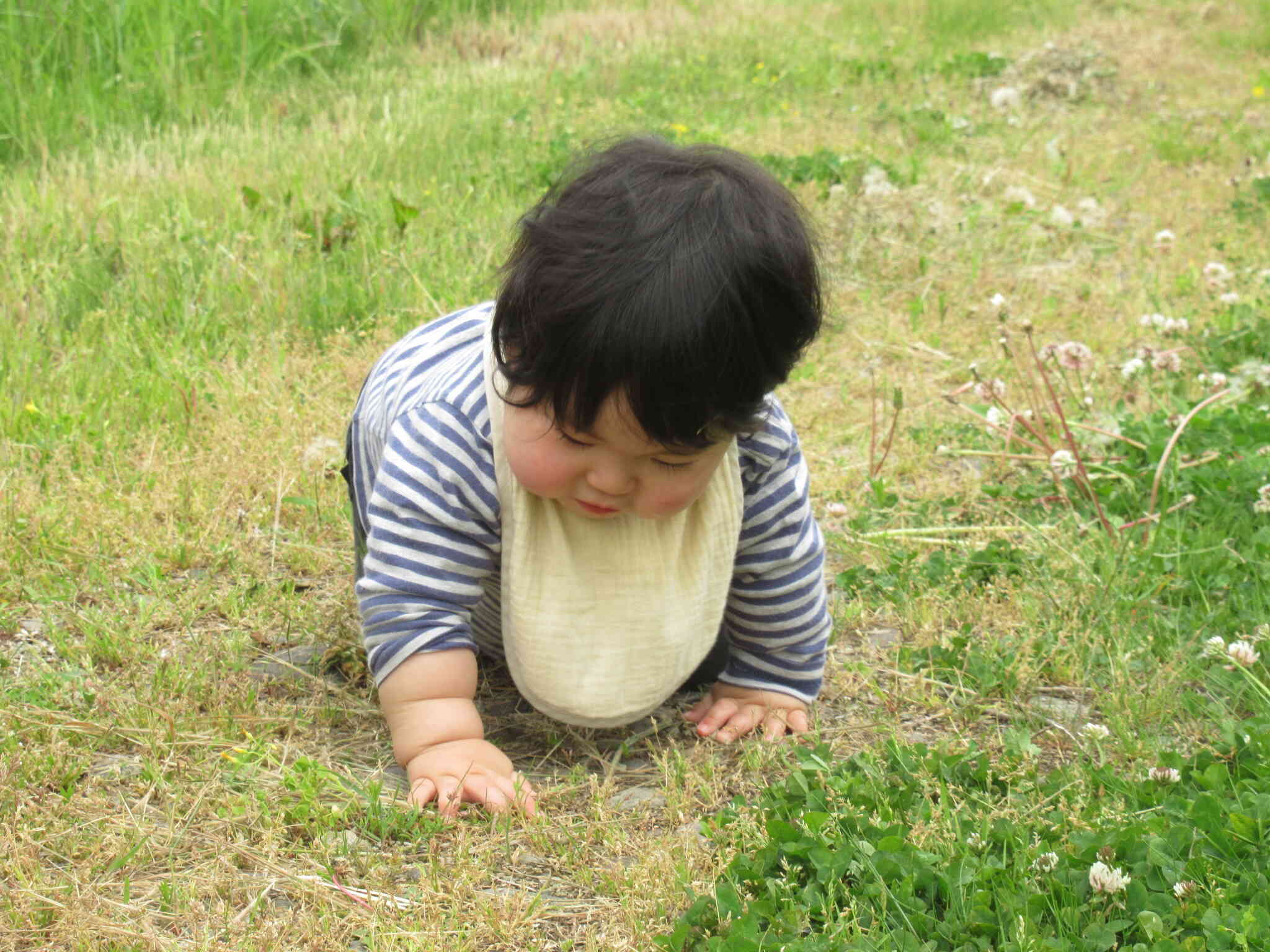 ハイハイで探索開始！