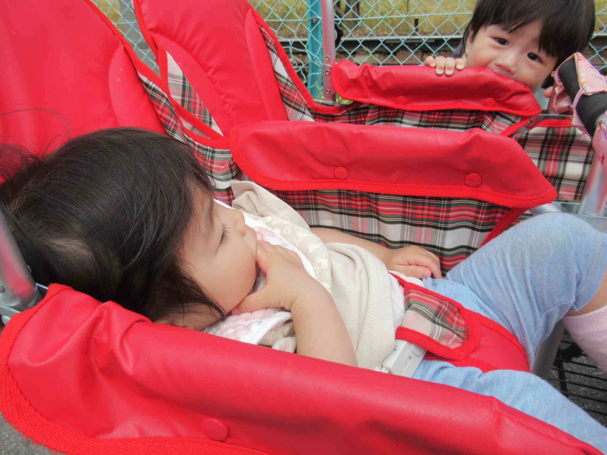 私はここからゆったり眺めたよ♪