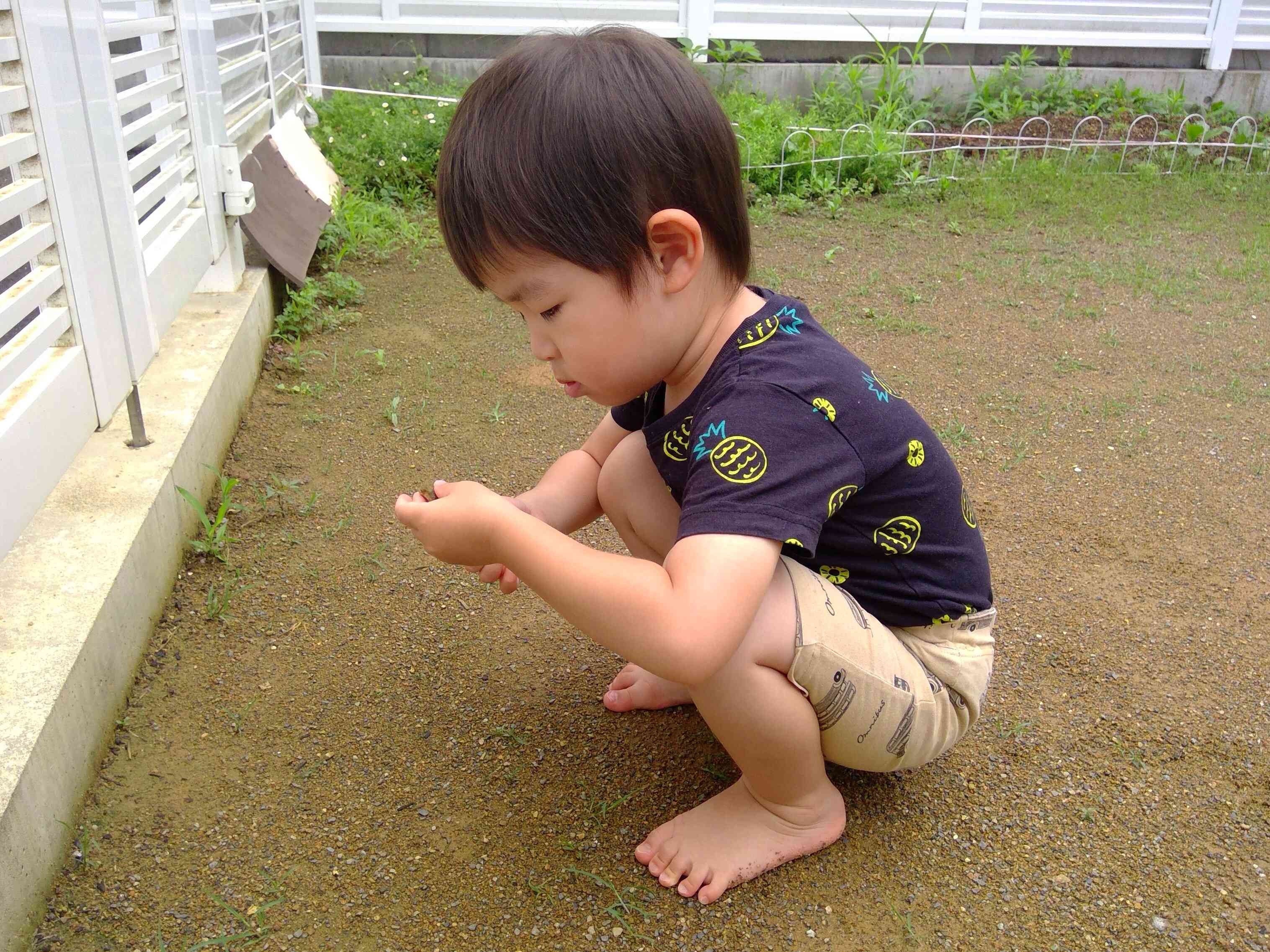 虫探しもしたよ。