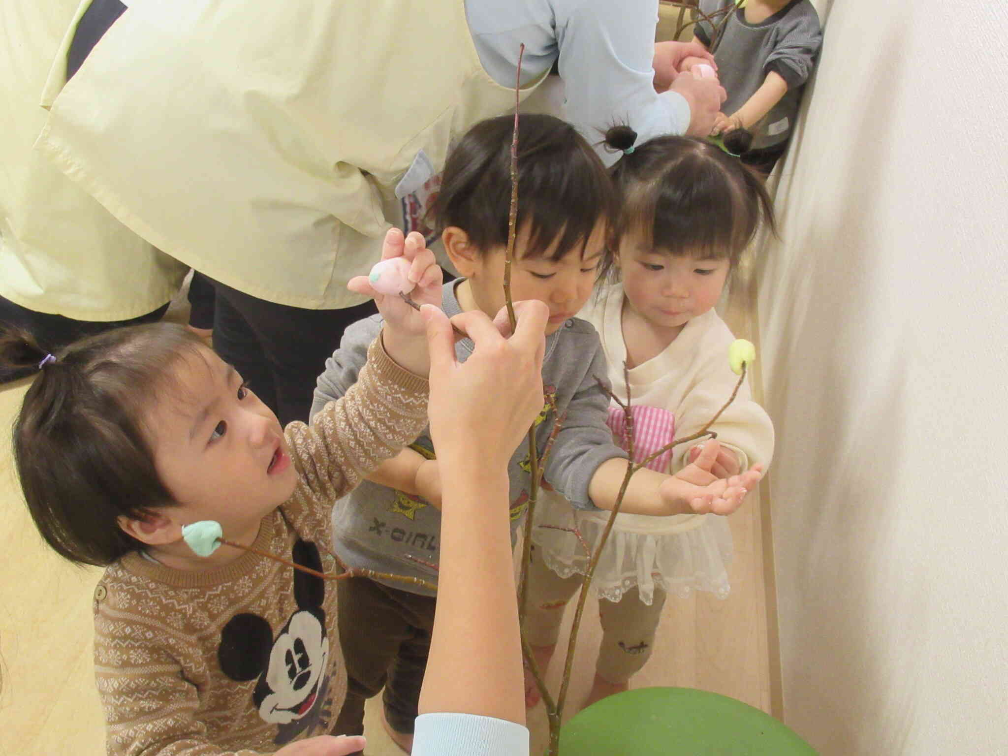 食育『まゆだま作り』ミズキの枝に飾り付け♪