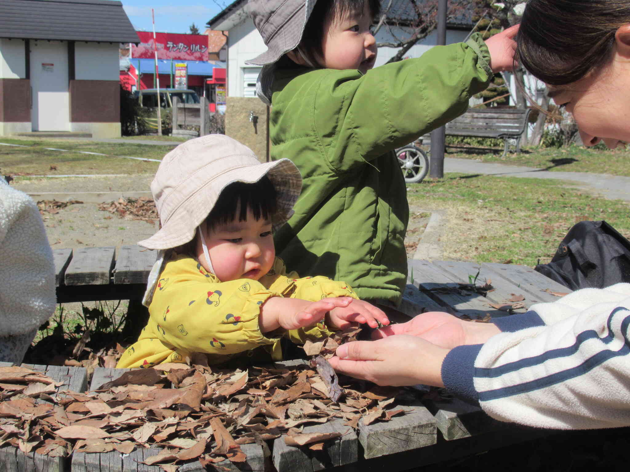 落ち葉屋さんです