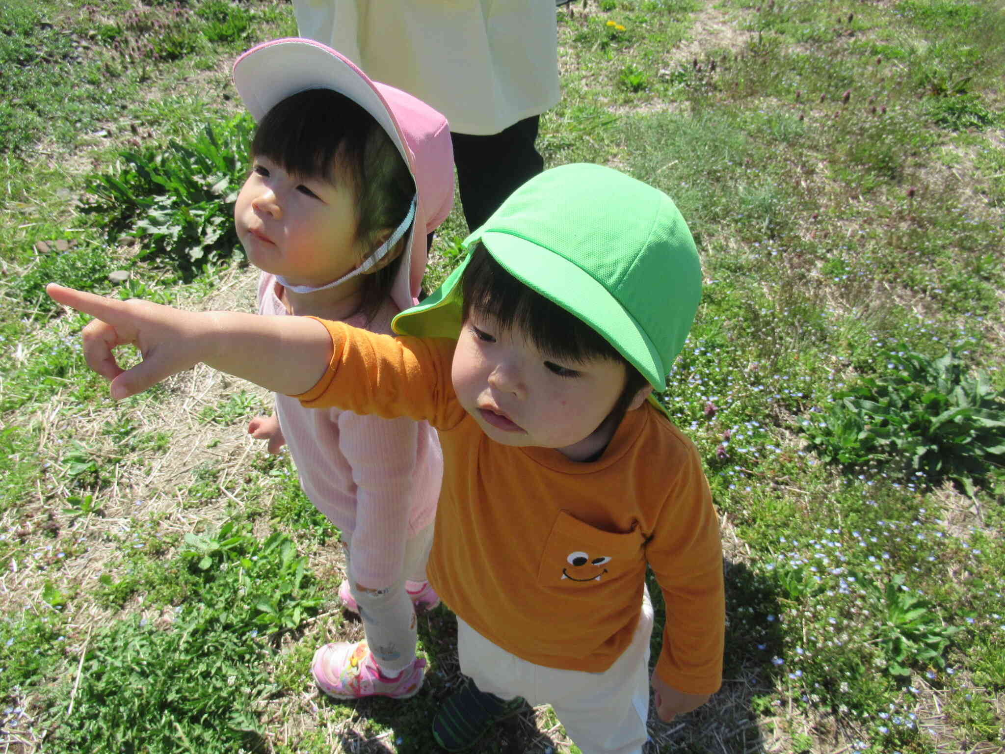 あひる組　初めての散歩♪