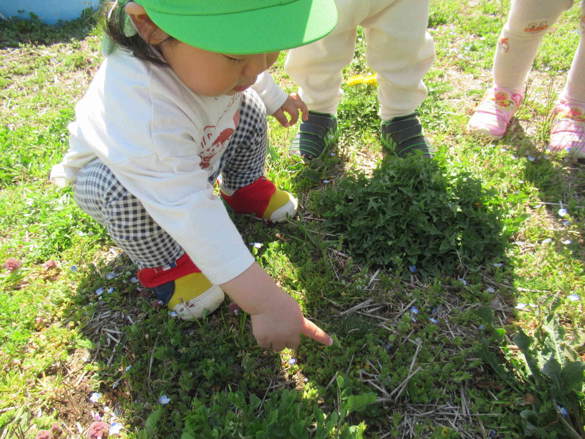 何かがいる⁉︎
