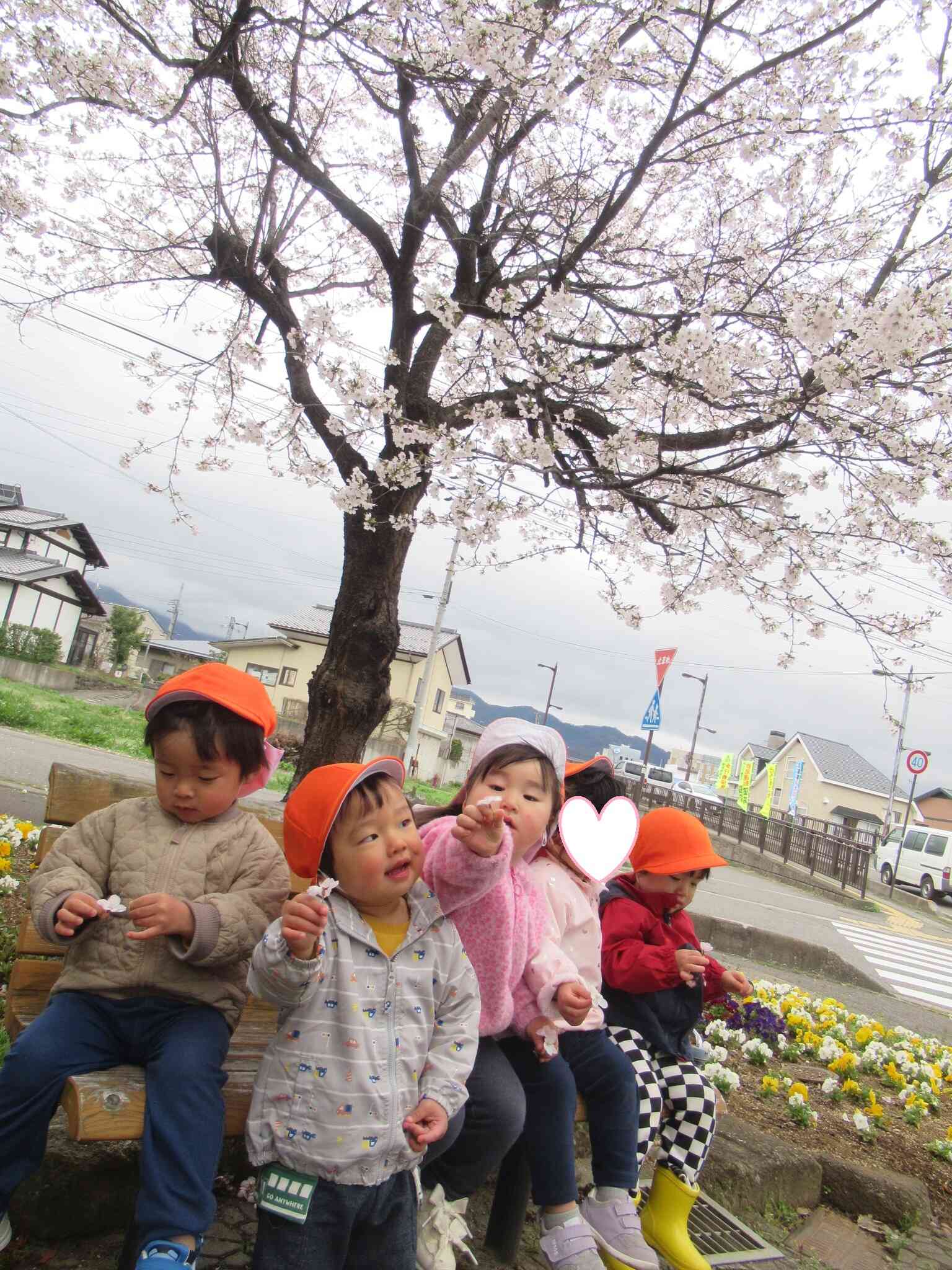 うさぎ組　お散歩へ行ったよ♪