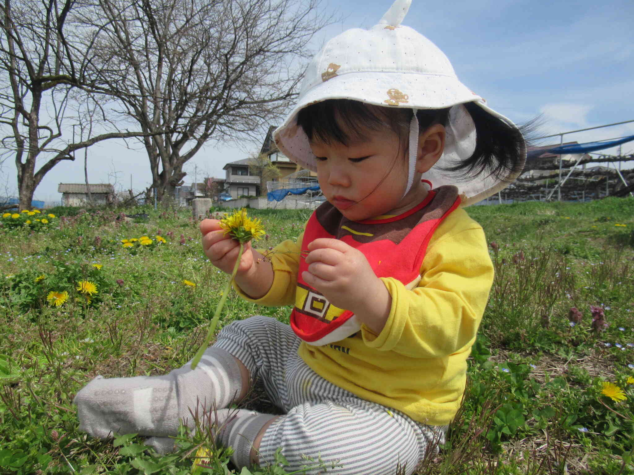 ひよこ組　初めて農道へ...