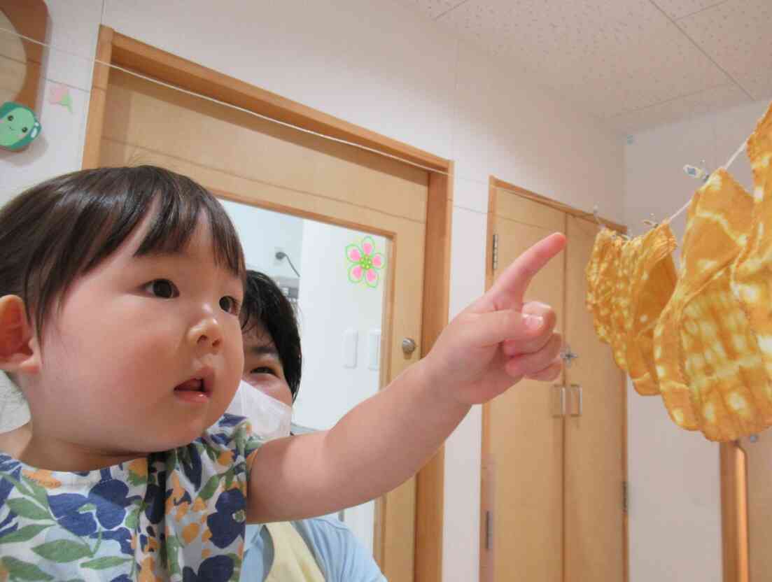 8月撮影の写真販売