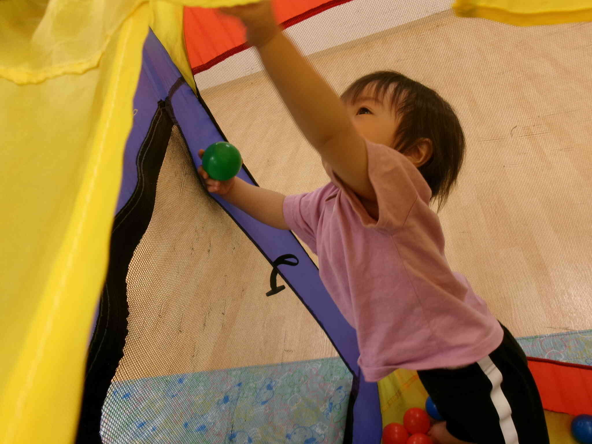 手を伸ばして・・・