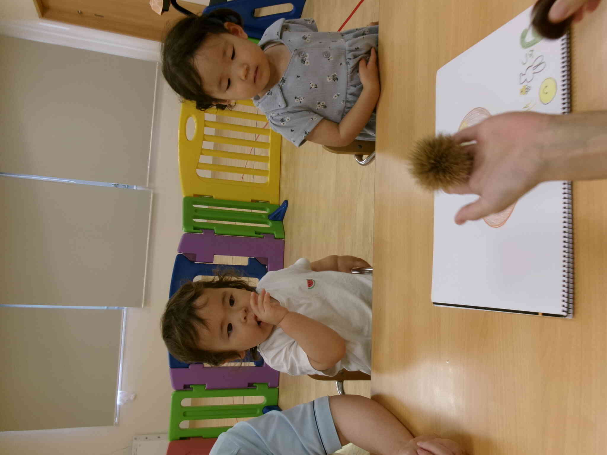 こんなの初めて見た！