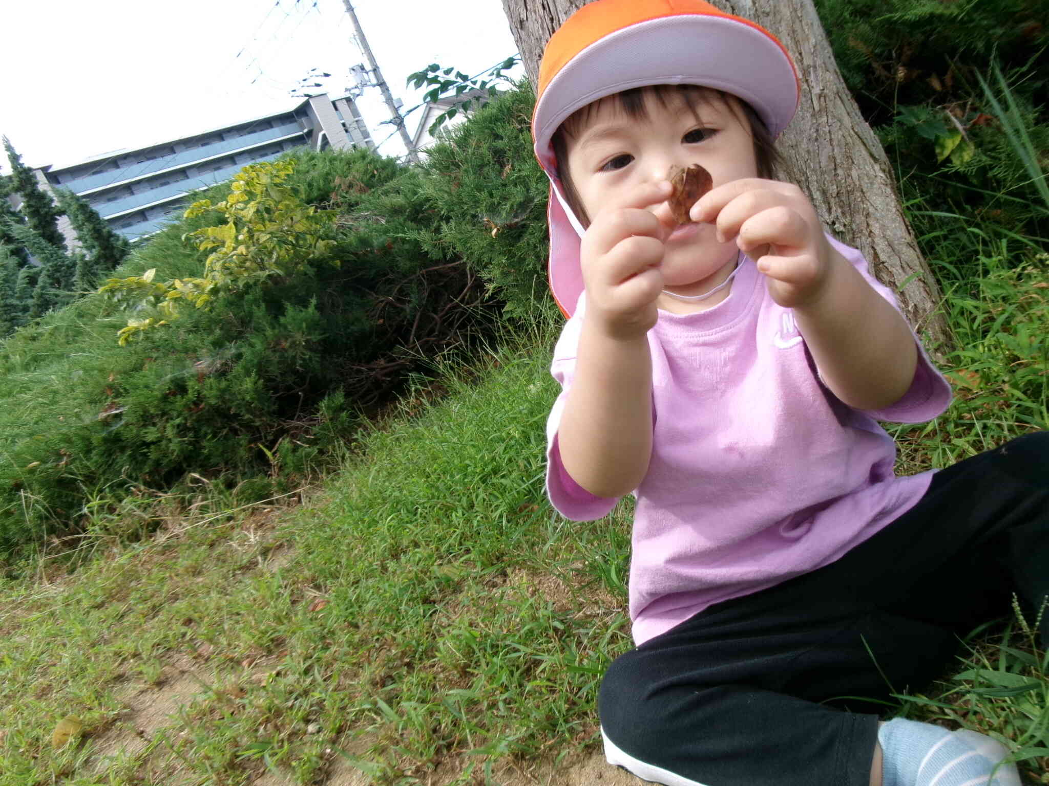 これはなに？？