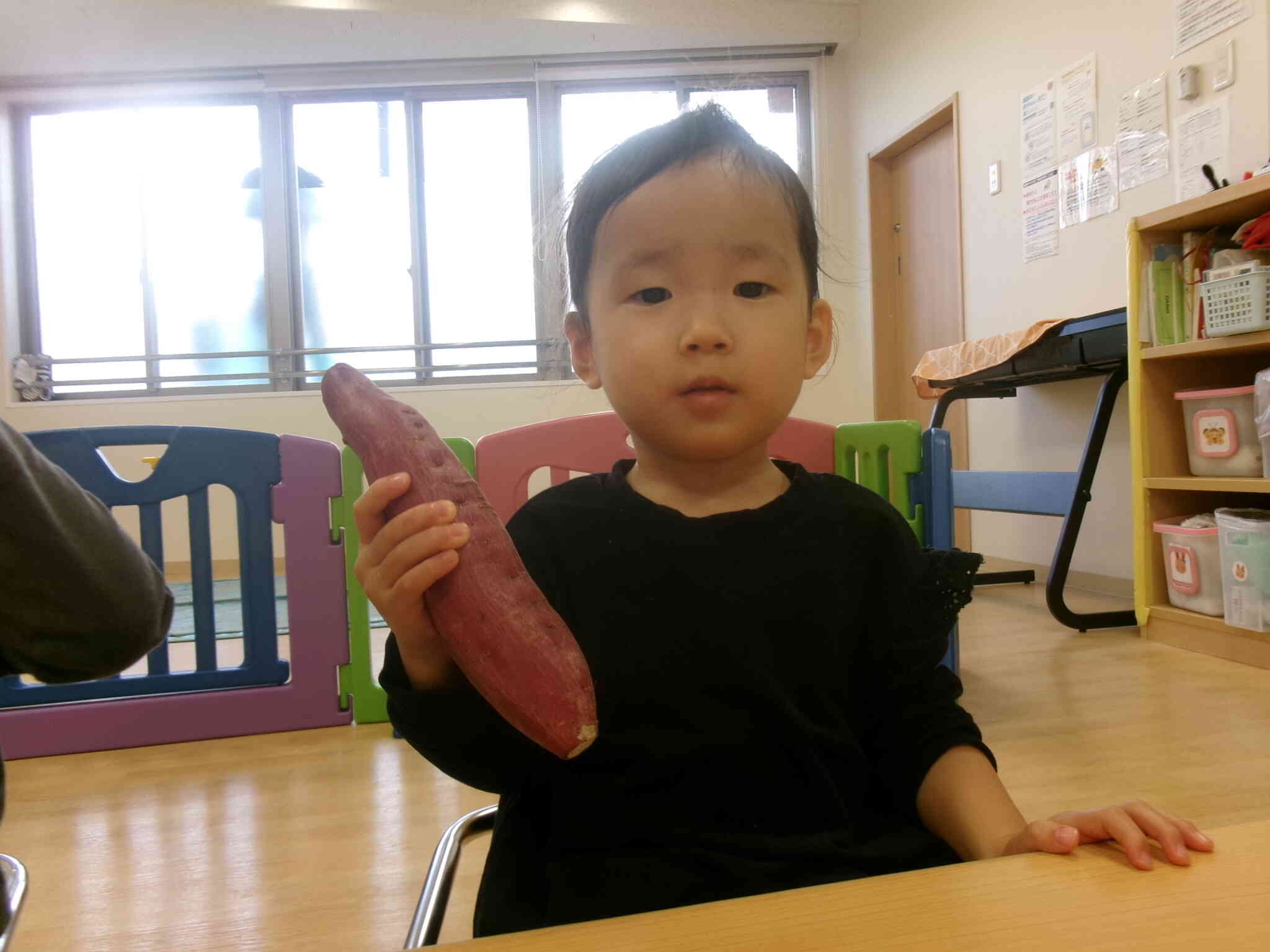 【９月食育】　さつまいもに触れる①