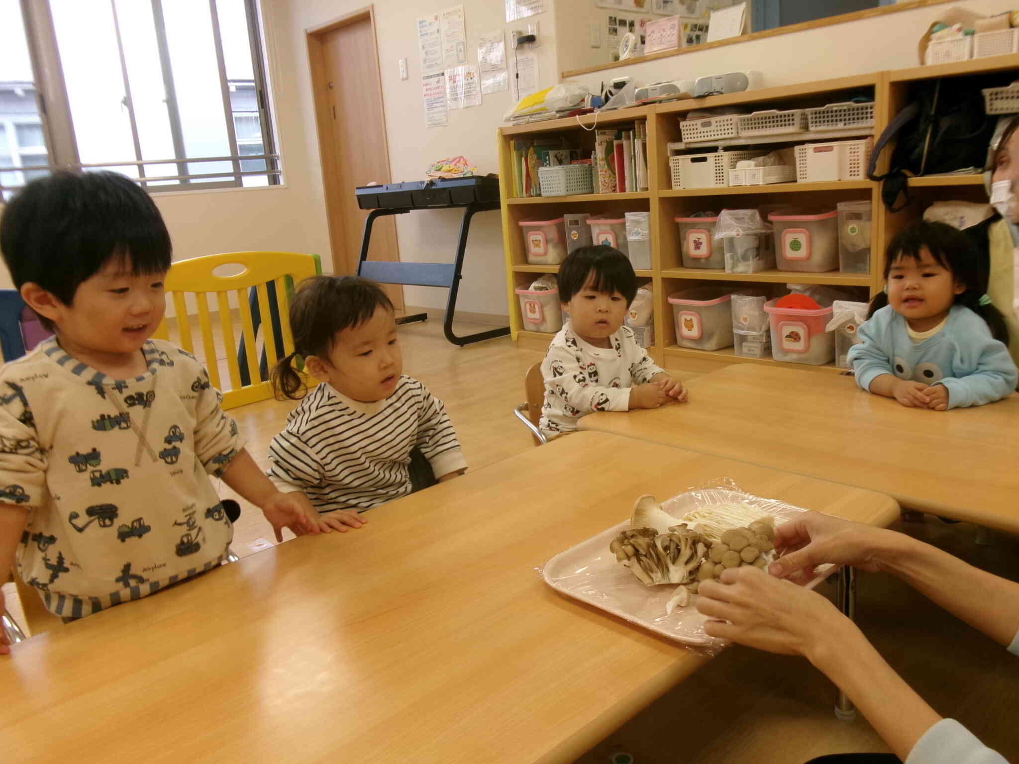 【10月食育】　きのこに触れる①