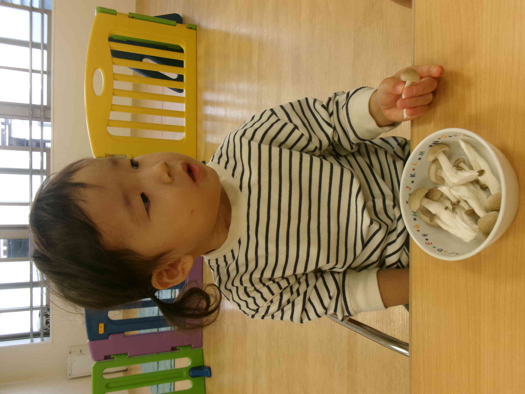 あっちのきのこも気になるなぁ…