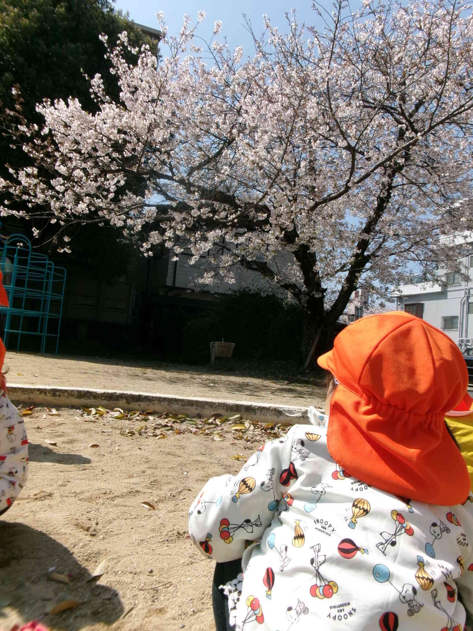 新年度が始まりました！