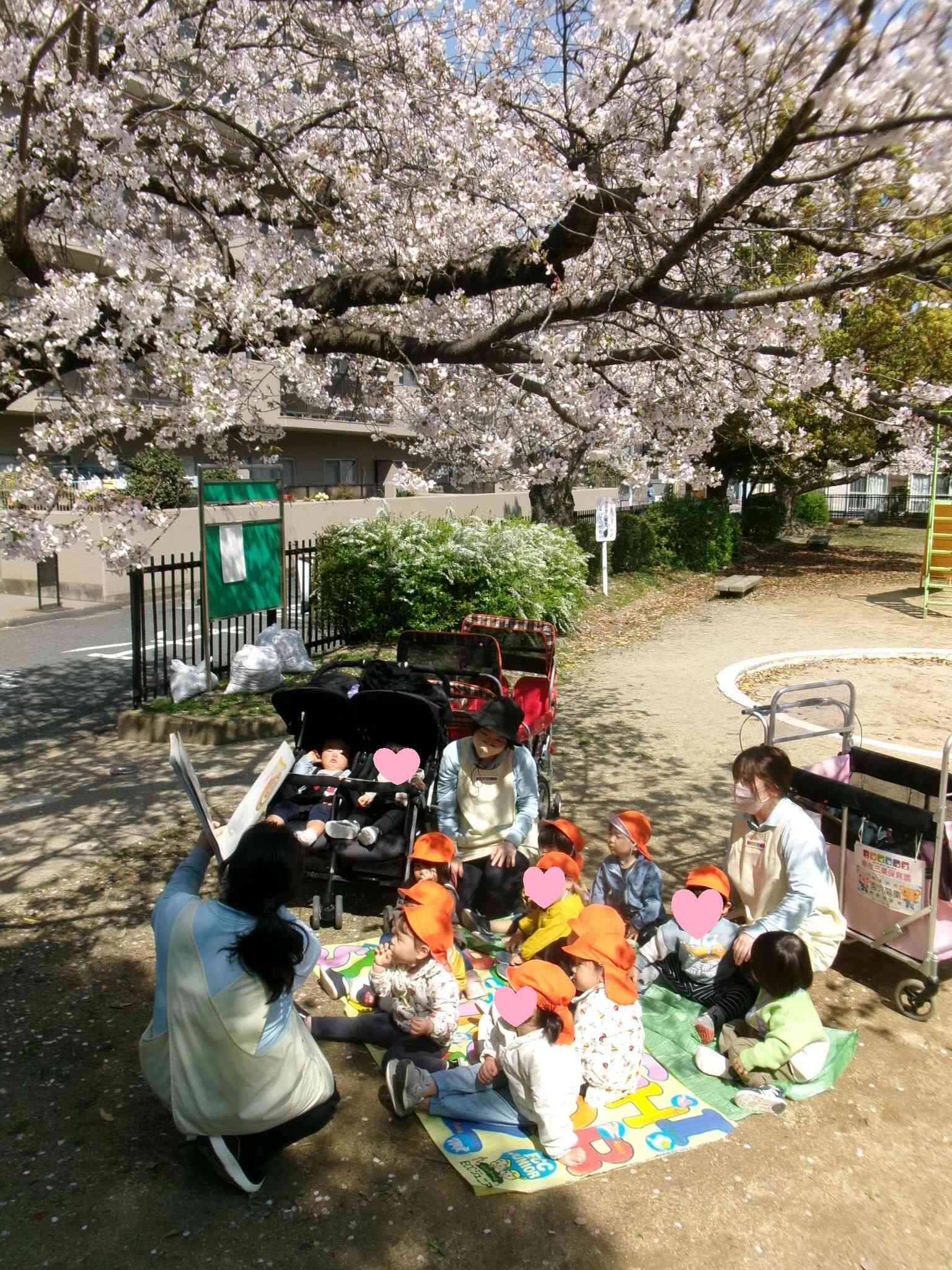 桜の木の下で・・・