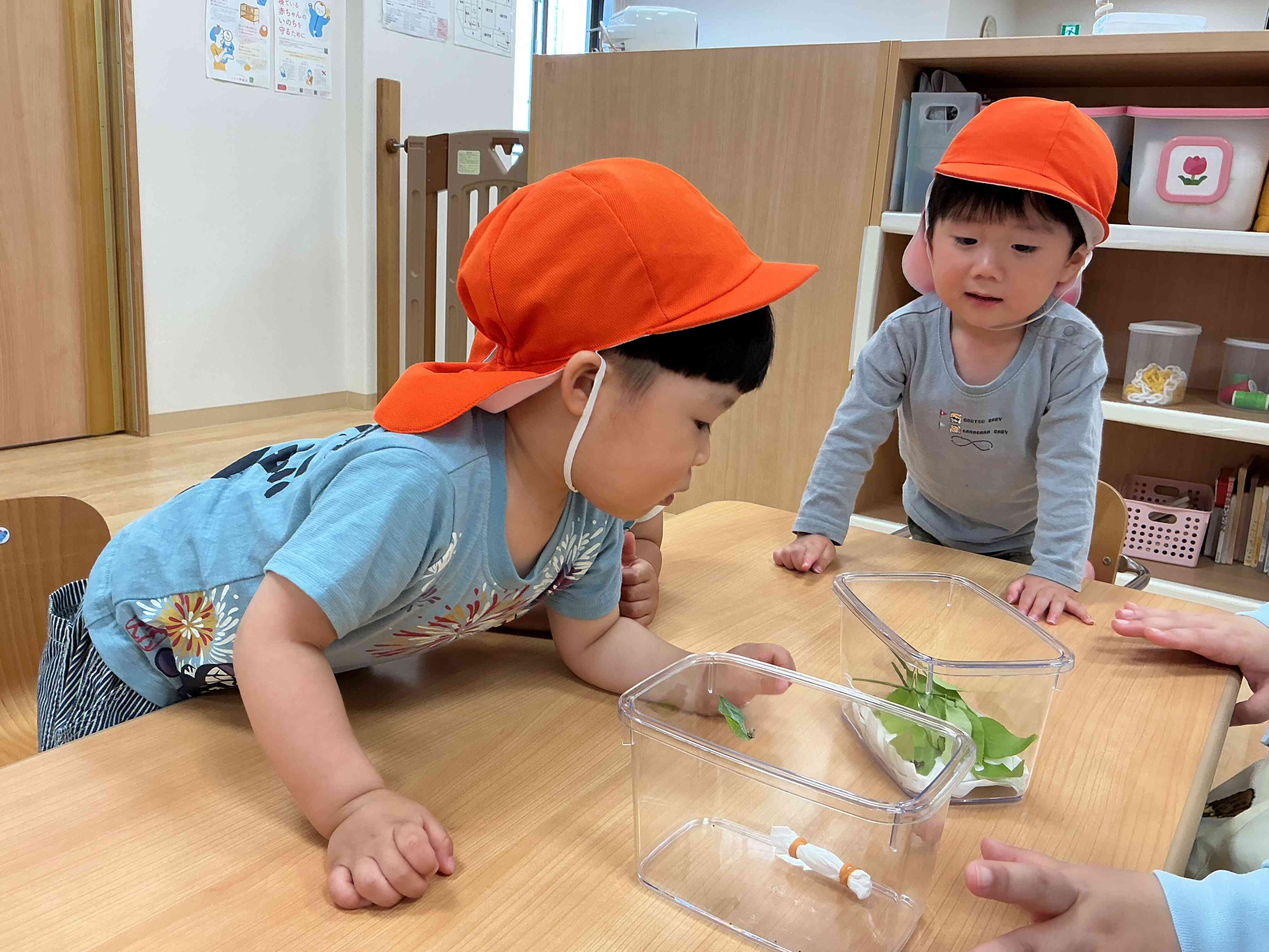 観察日記①