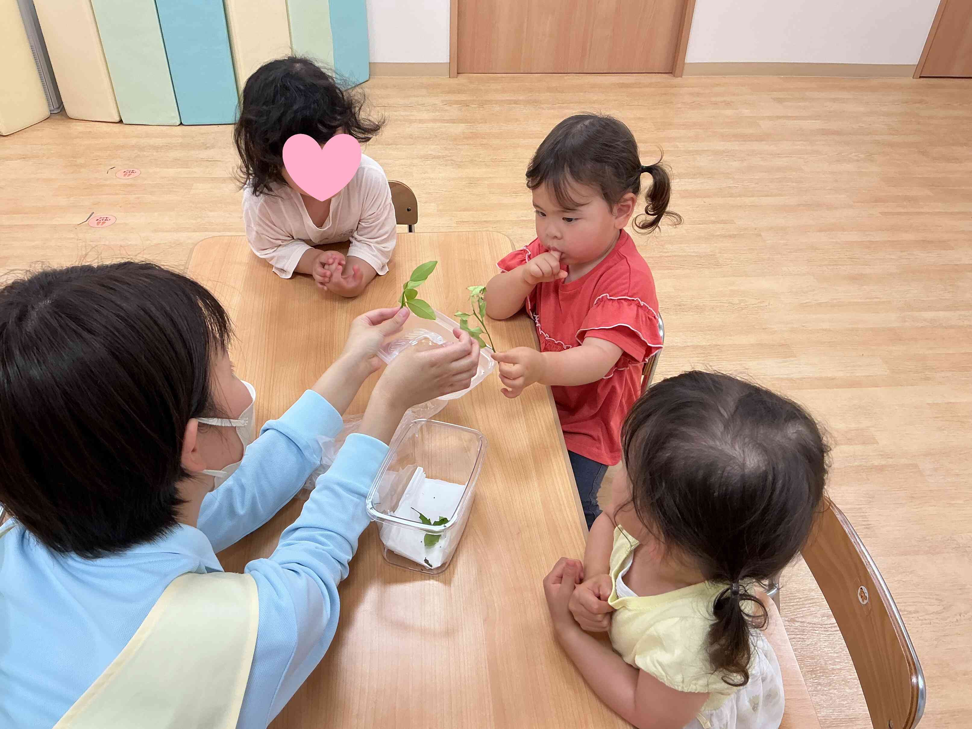 食べた後の葉っぱを見てみよう。