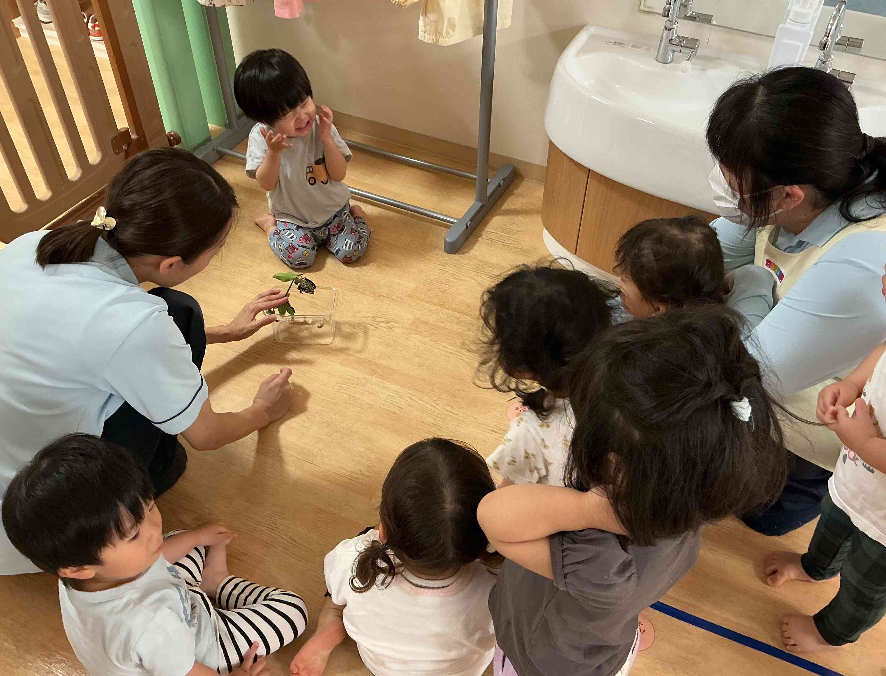 羽化後の大興奮の様子♪