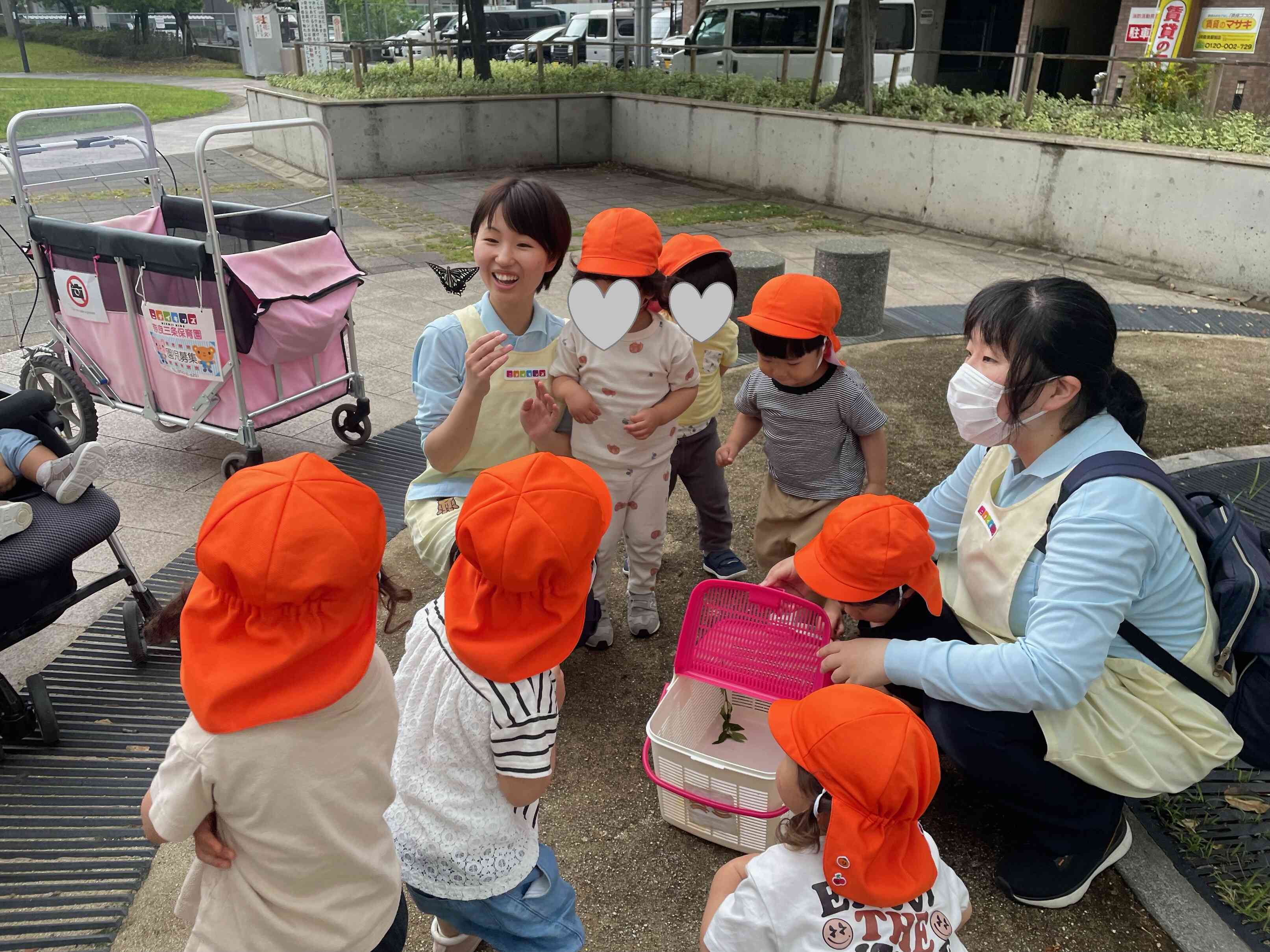観察日記④