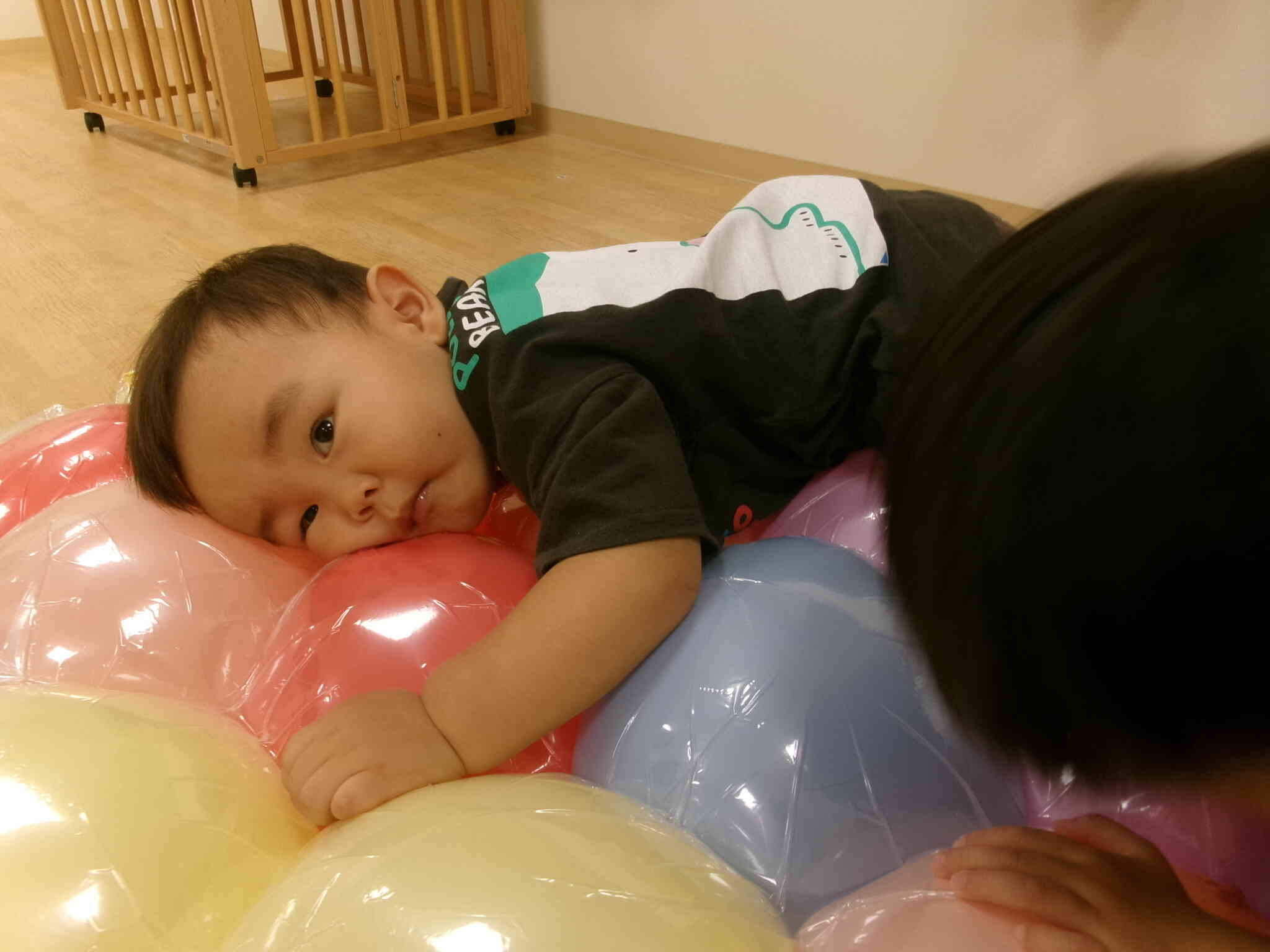 ゴロン♪