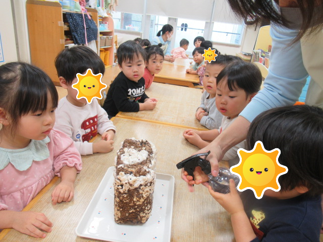 みんなでしいたけを育てたよ♪