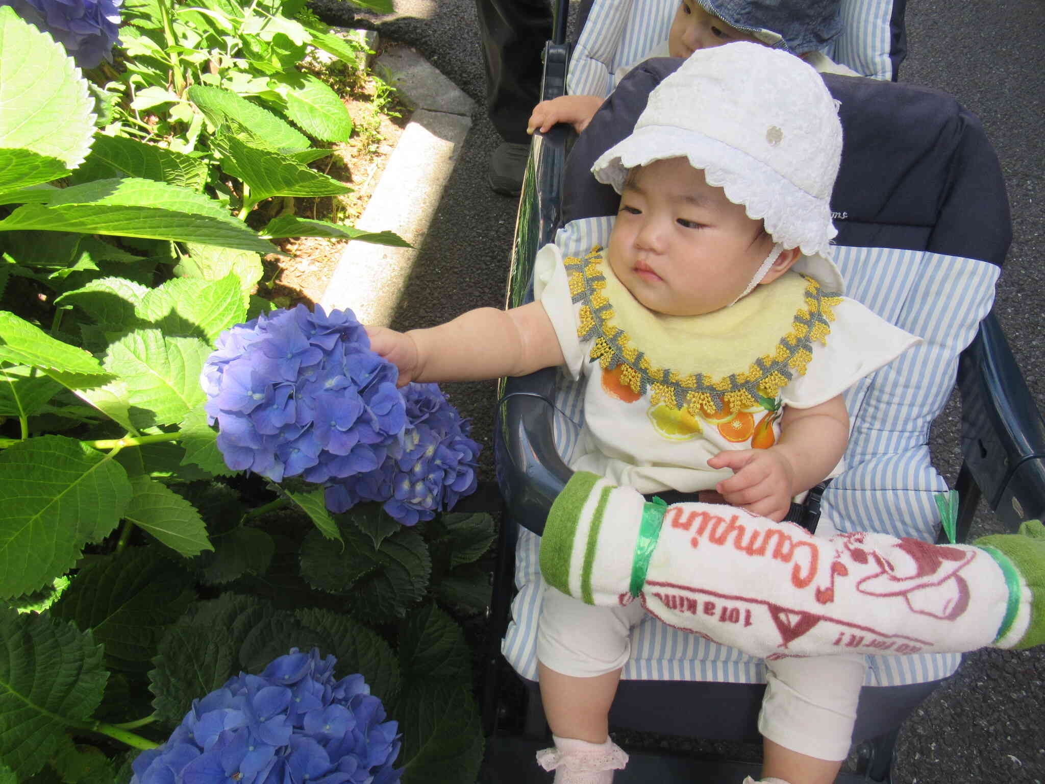 おさんぽ（ぱんだ組　0歳児）