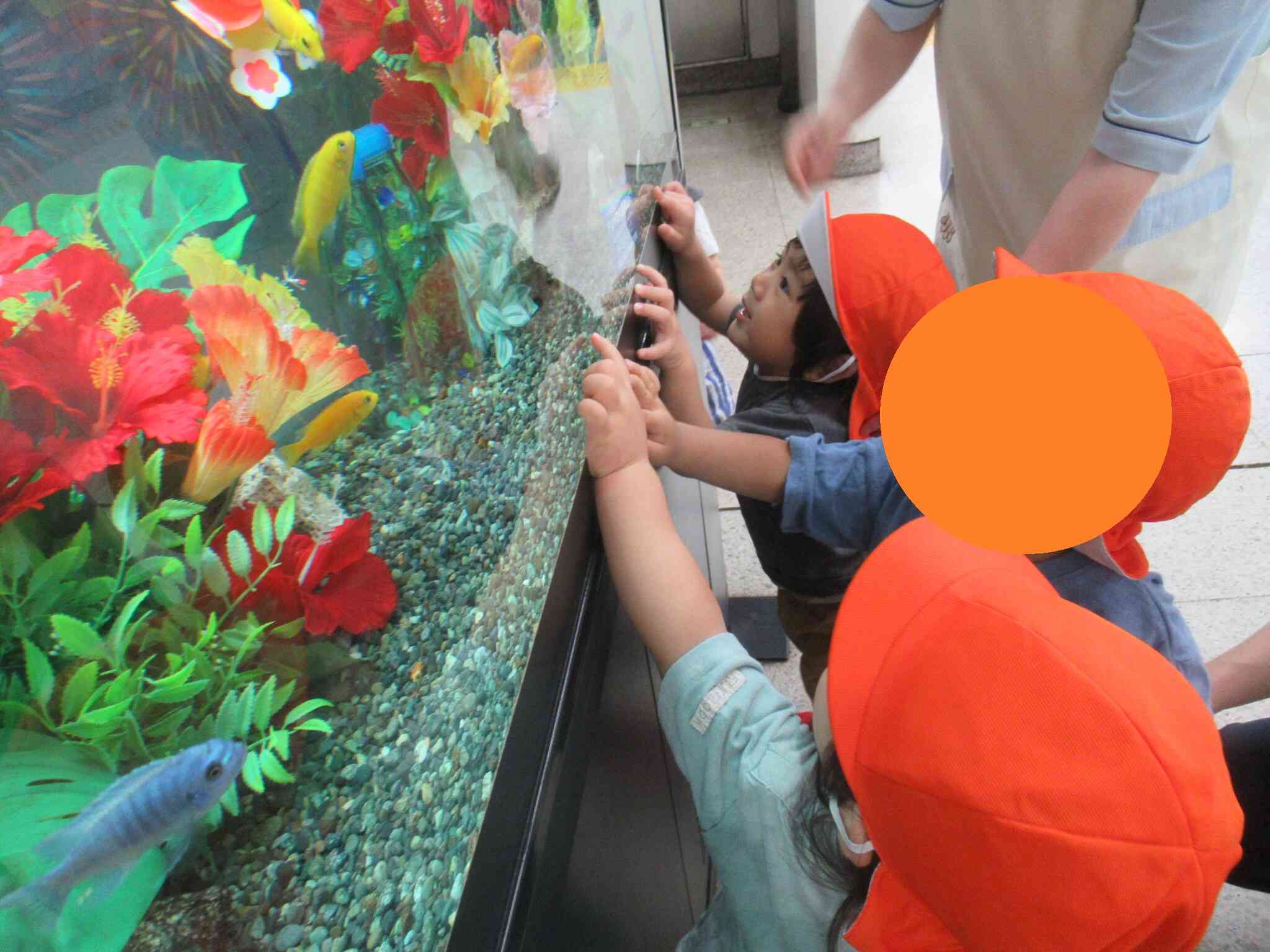 お魚見に行こう！！（1歳児）