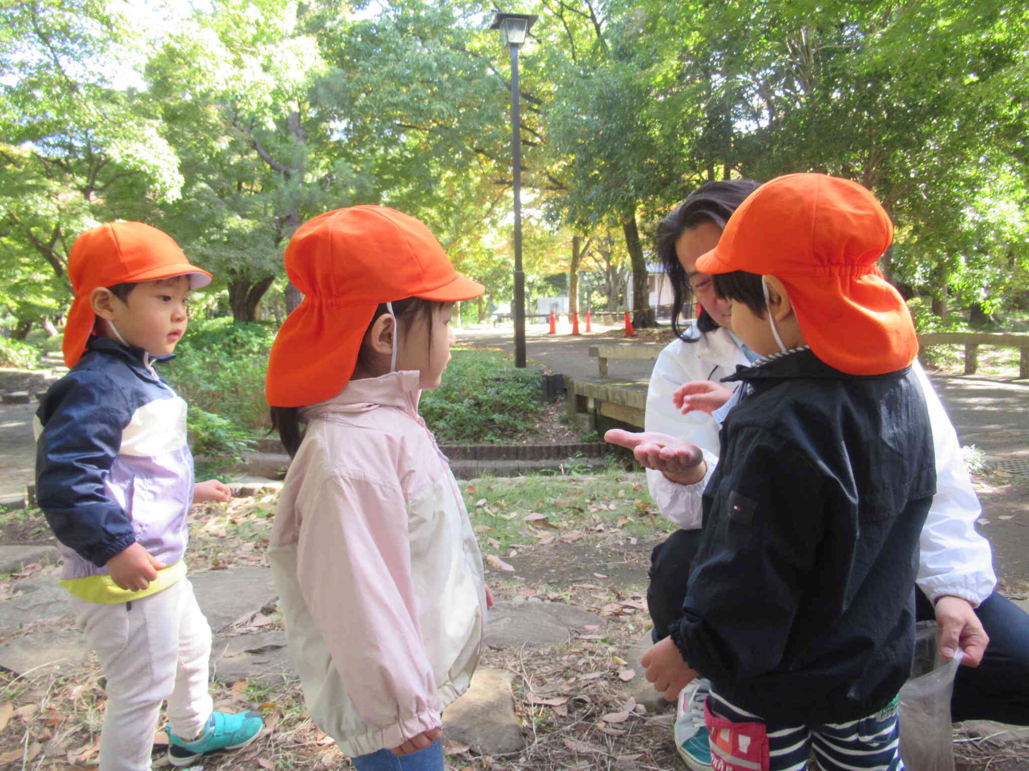 見せて・見せて