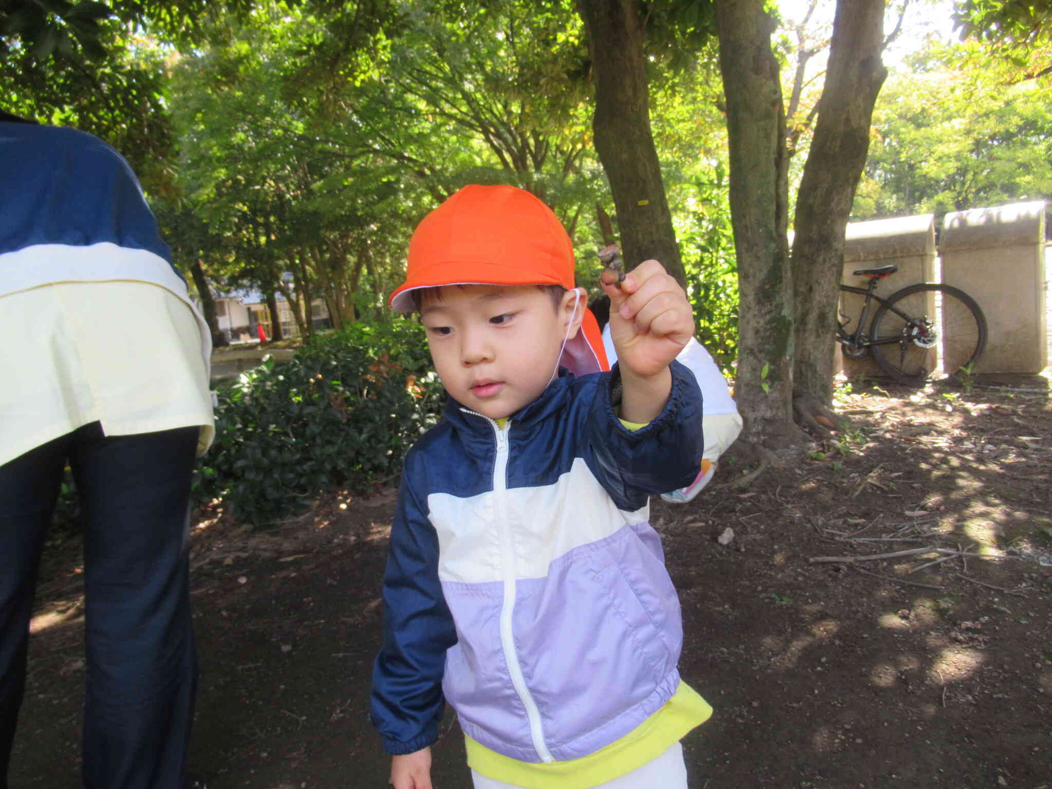 こんなのあったよ！