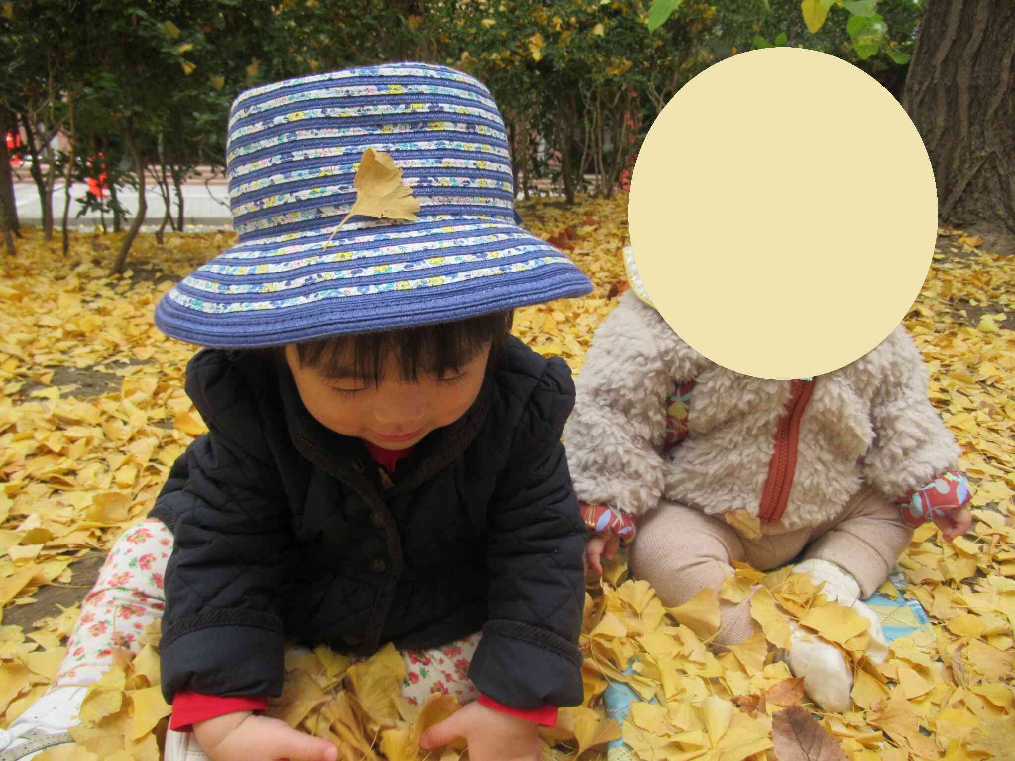 あれ？あれ？あれれ？