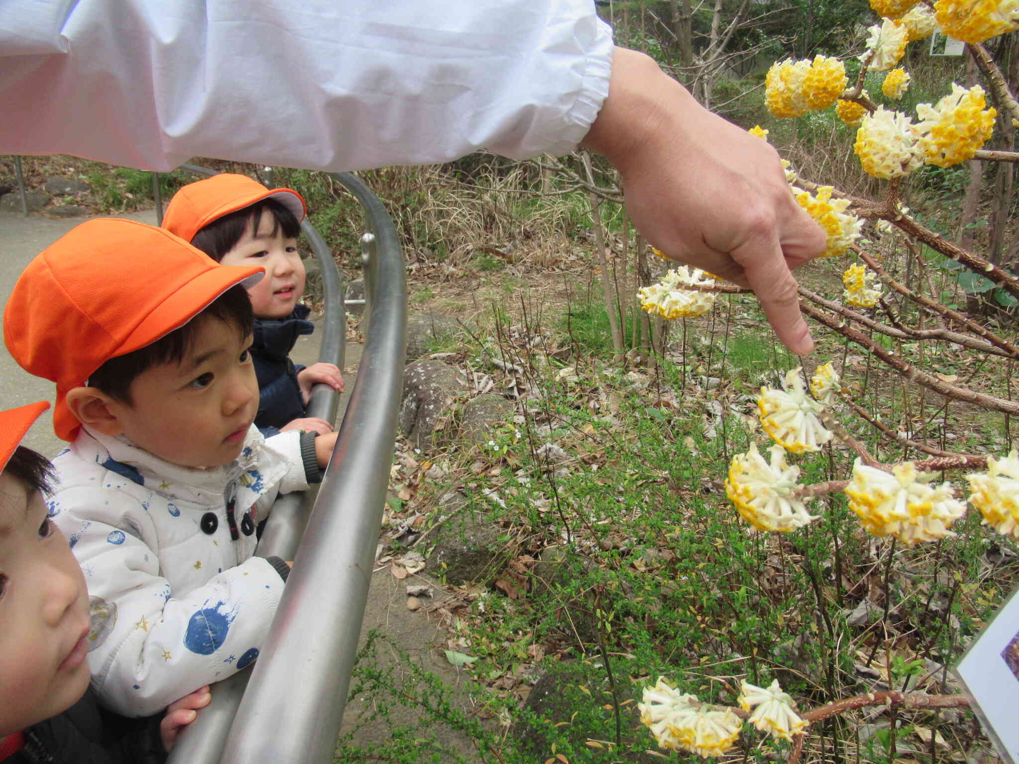 もっと近づいて見て見ましょう