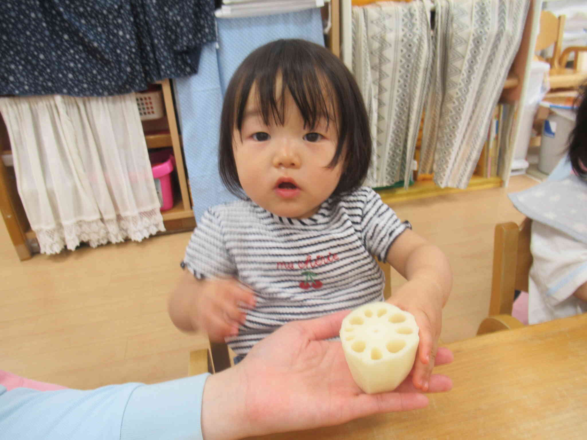 れんこんに触ってみよう！！