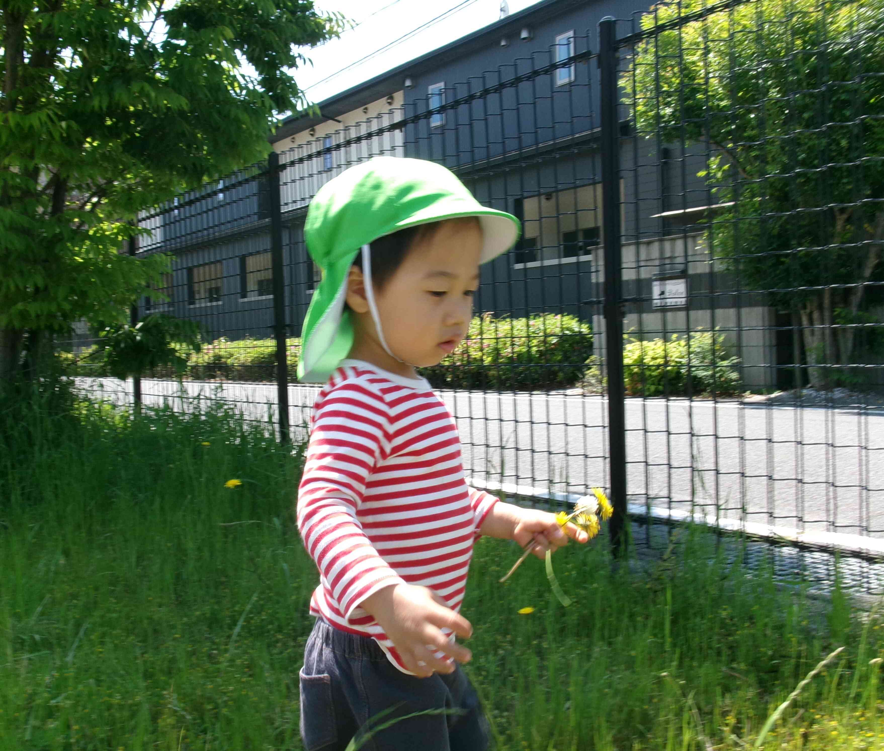 お散歩にいきました！