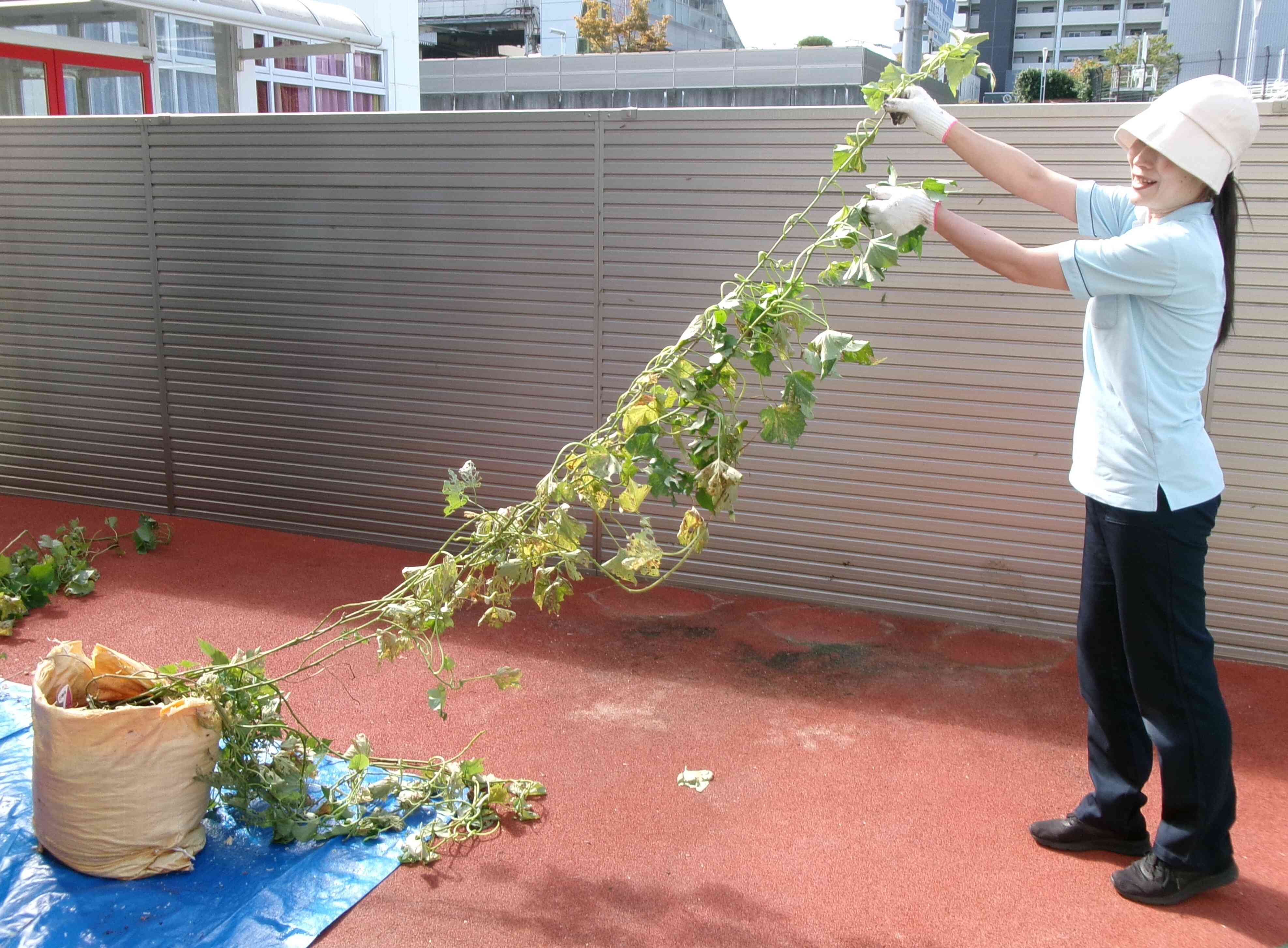 つるもこんなに長いよ！