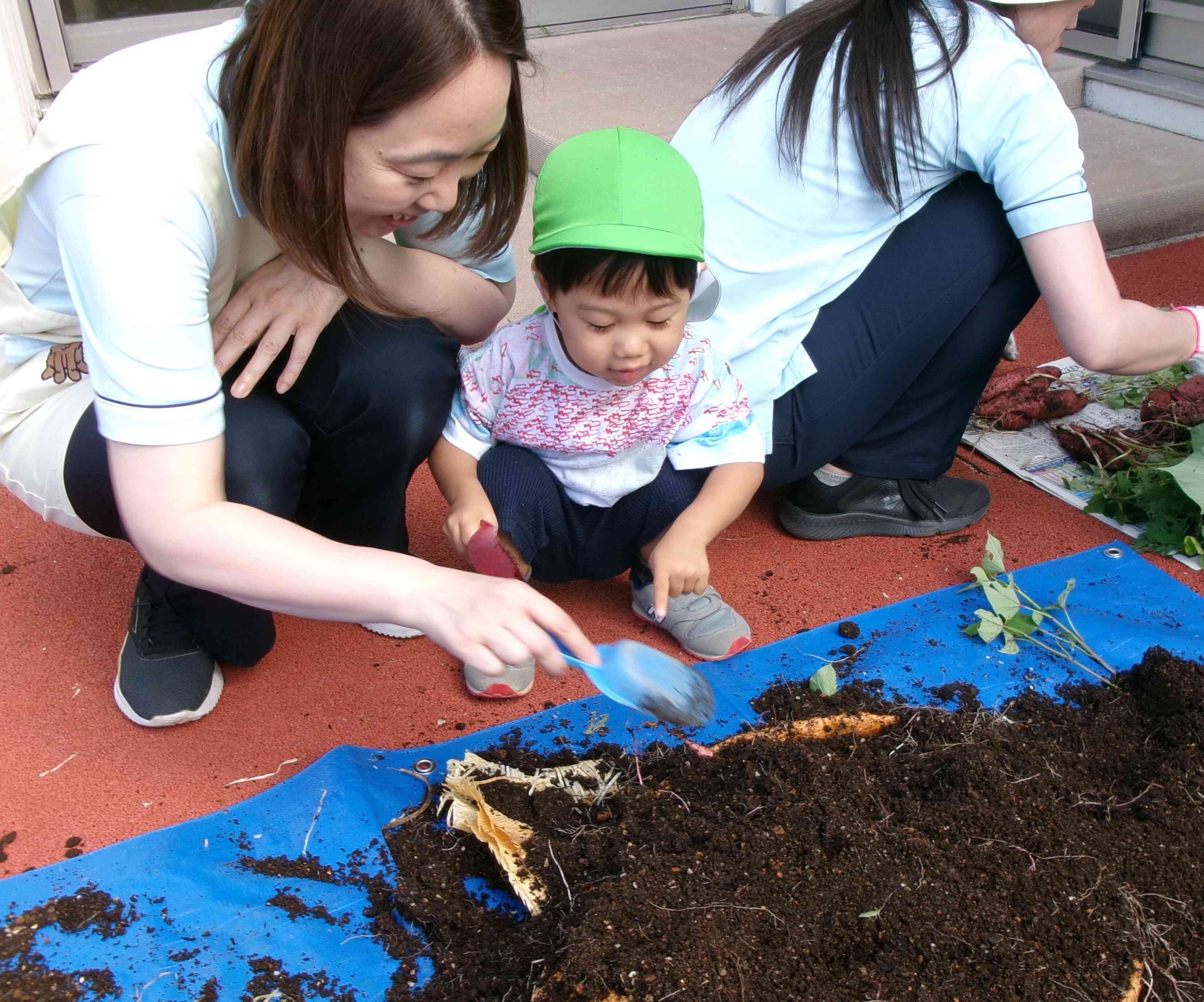 お芋あったー！