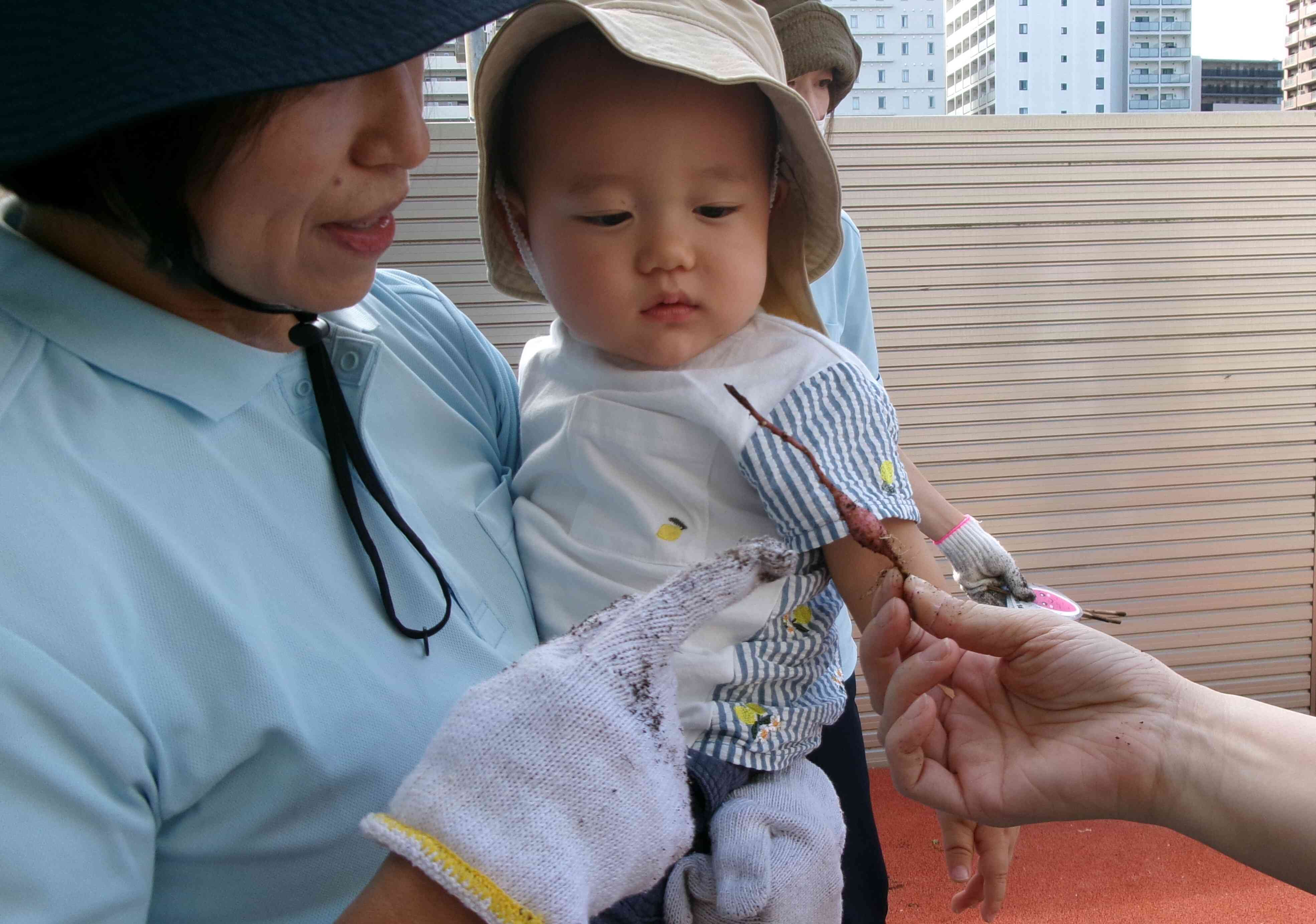 触ってみたよ☆