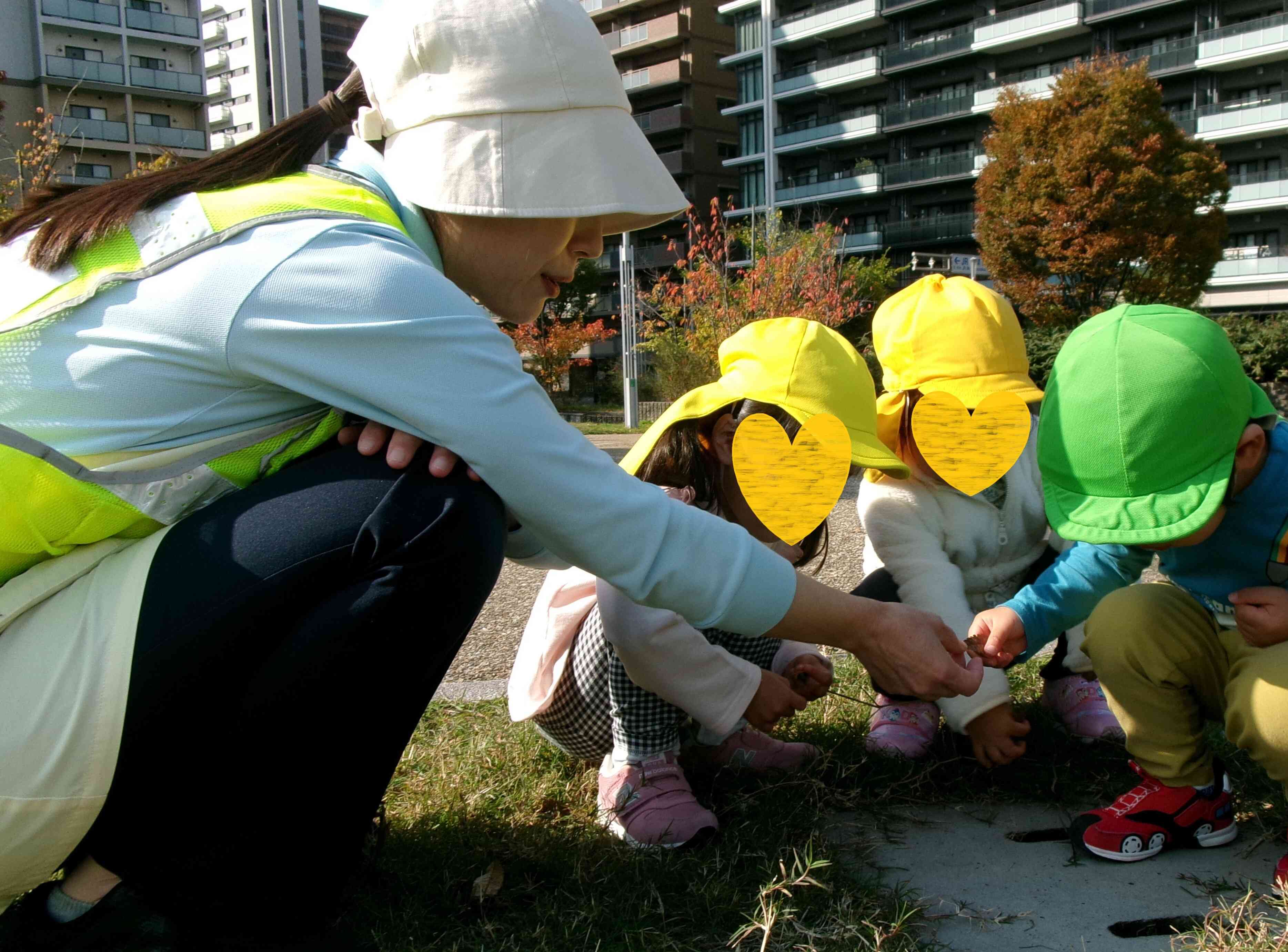 先生みてみて！