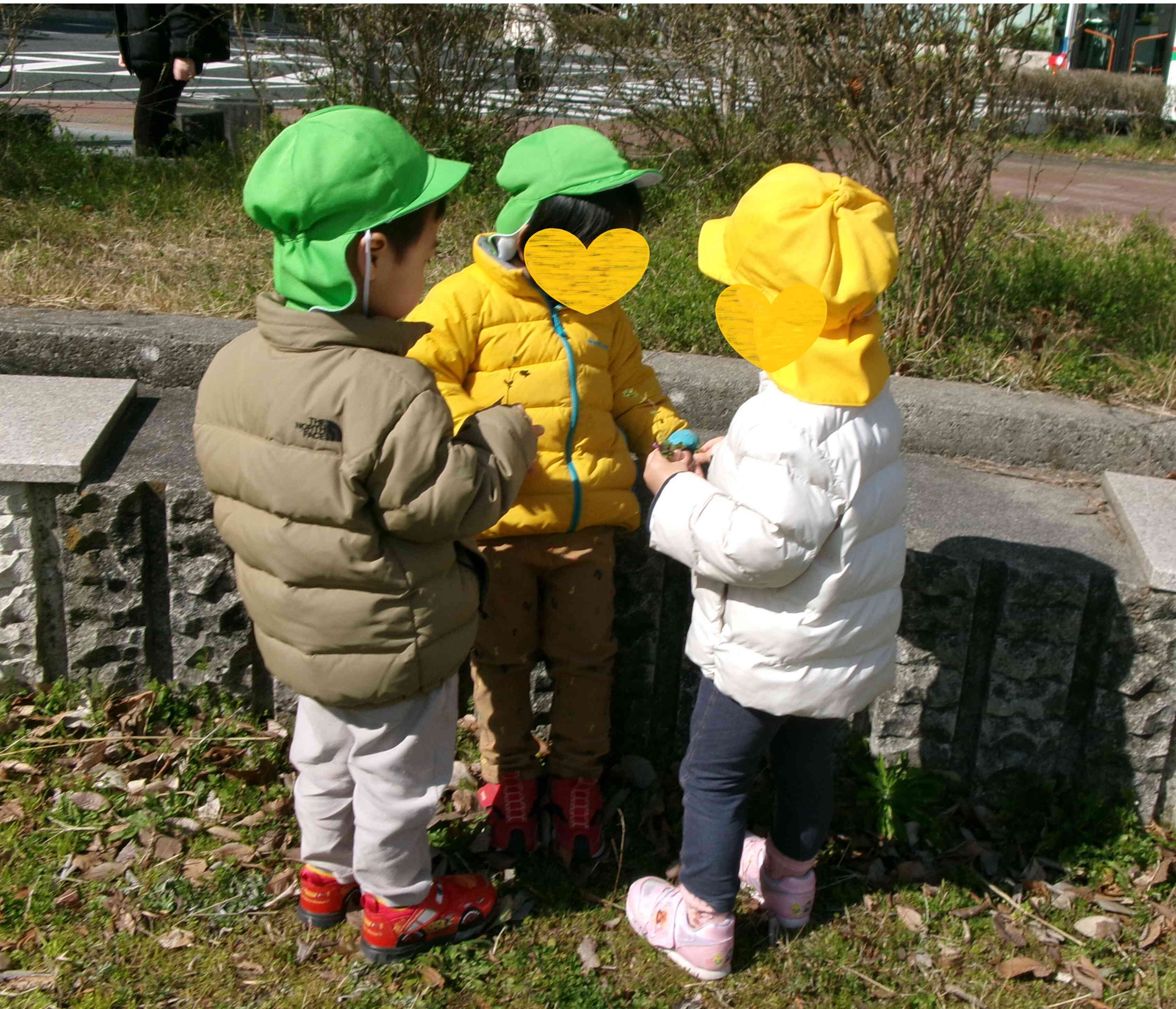 こんなのみつけたよ！