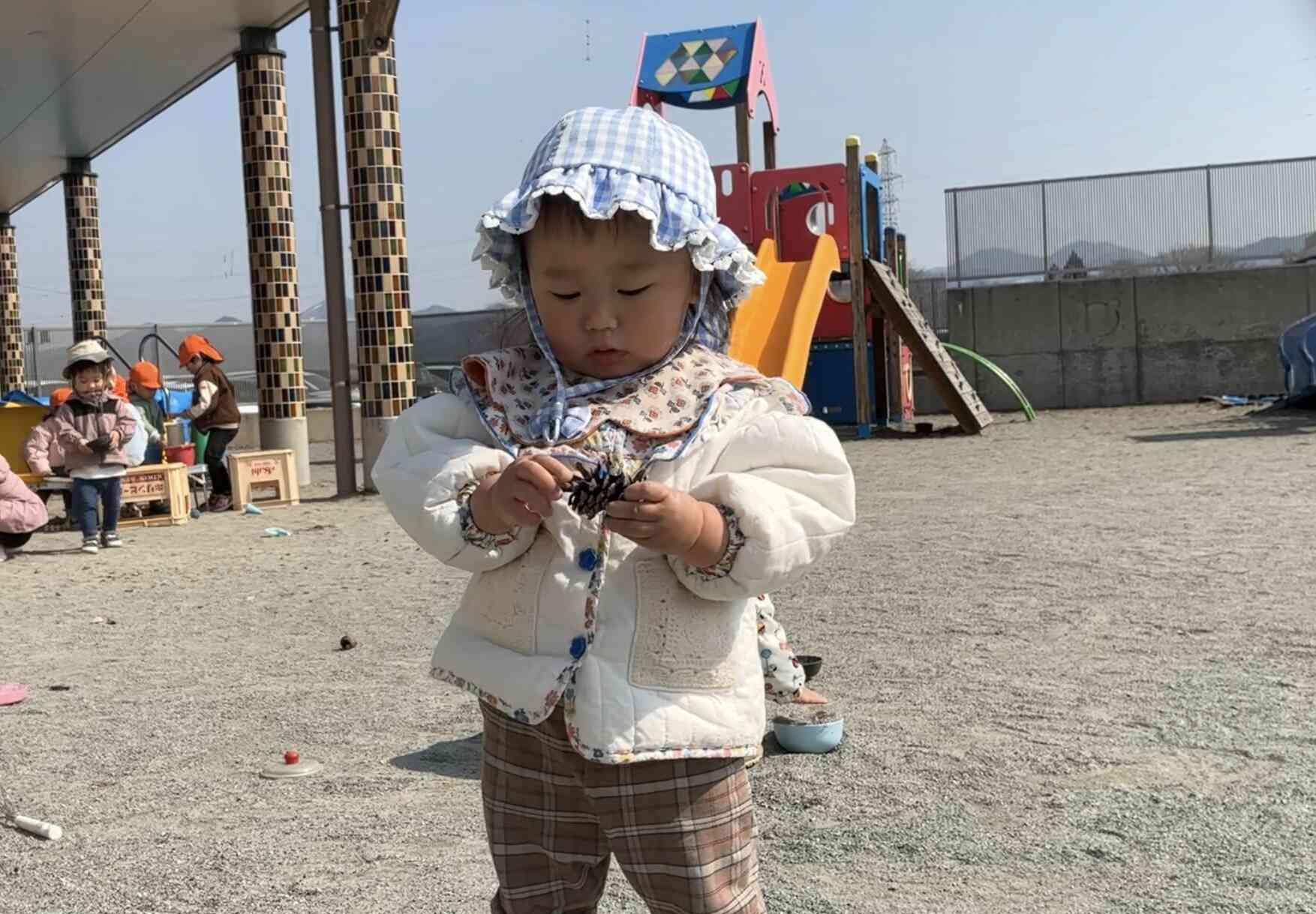 松ぼっくりを見つけたよ！