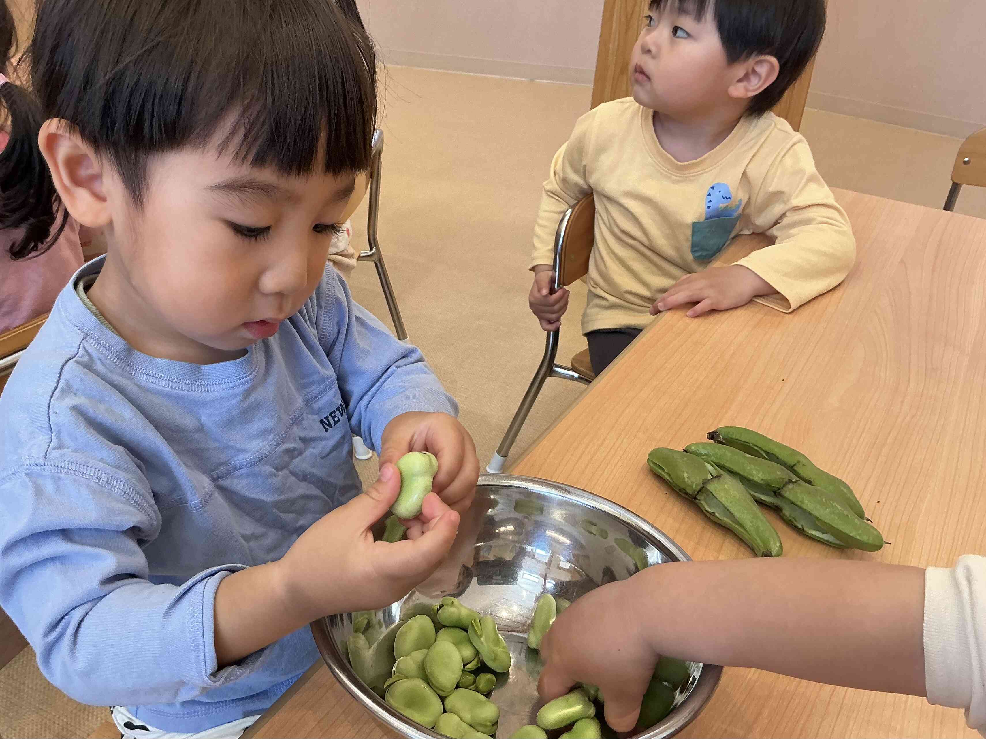 そら豆のから剥きPart2　うさぎ組（2歳児）