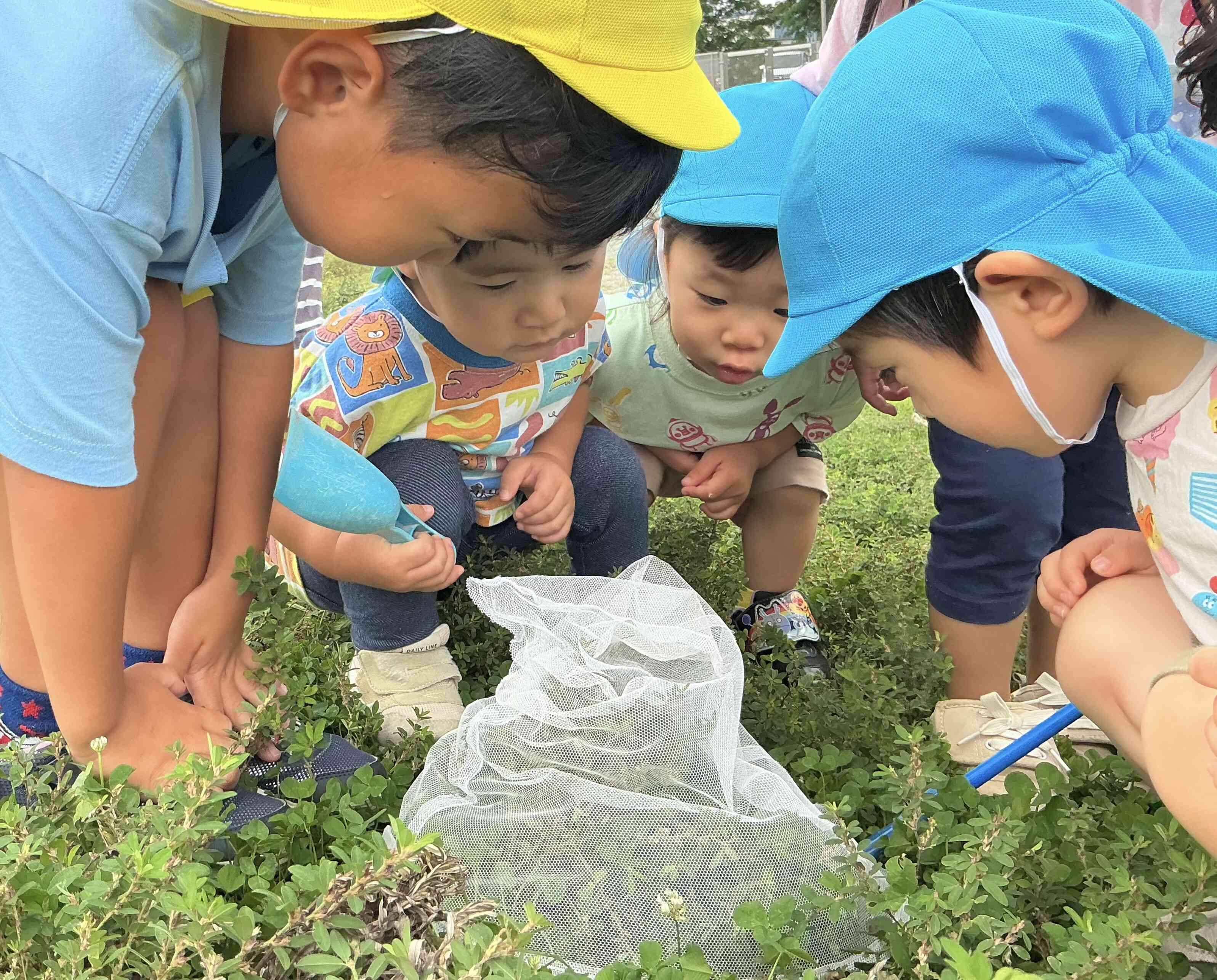 虫探しだいすき！あひる組（1歳児）