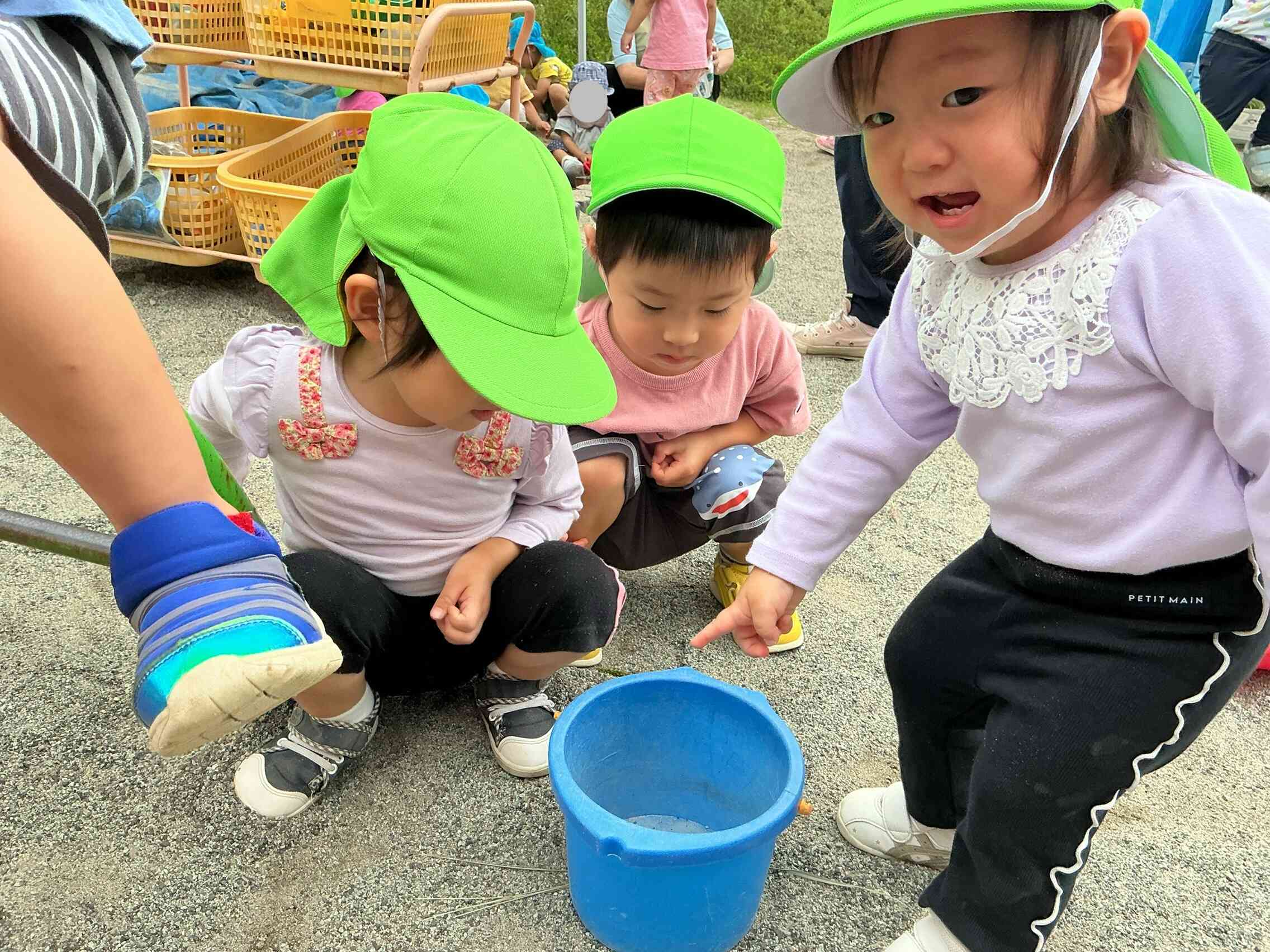みてみて！