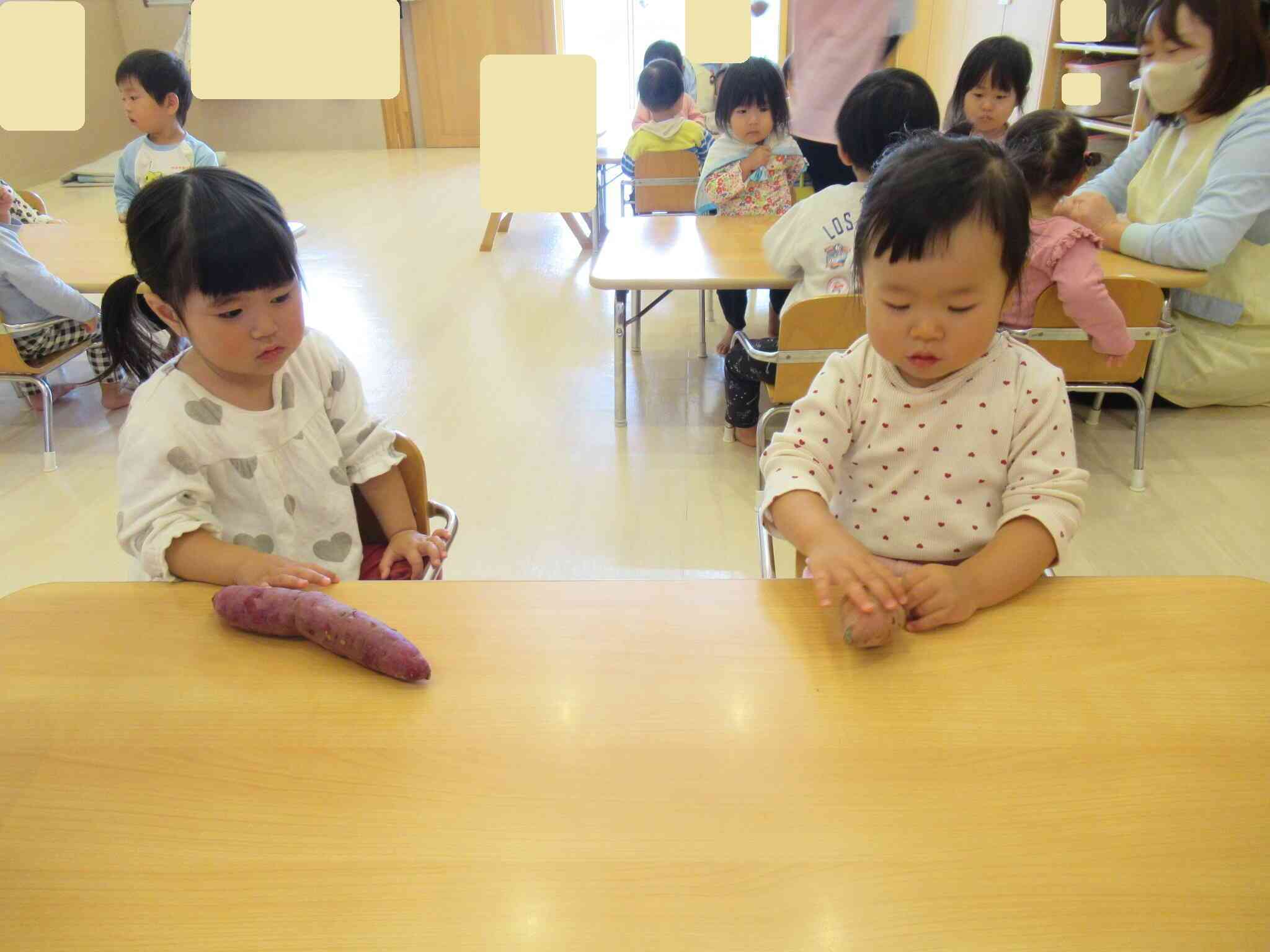 私たちのお芋ちがうね～！