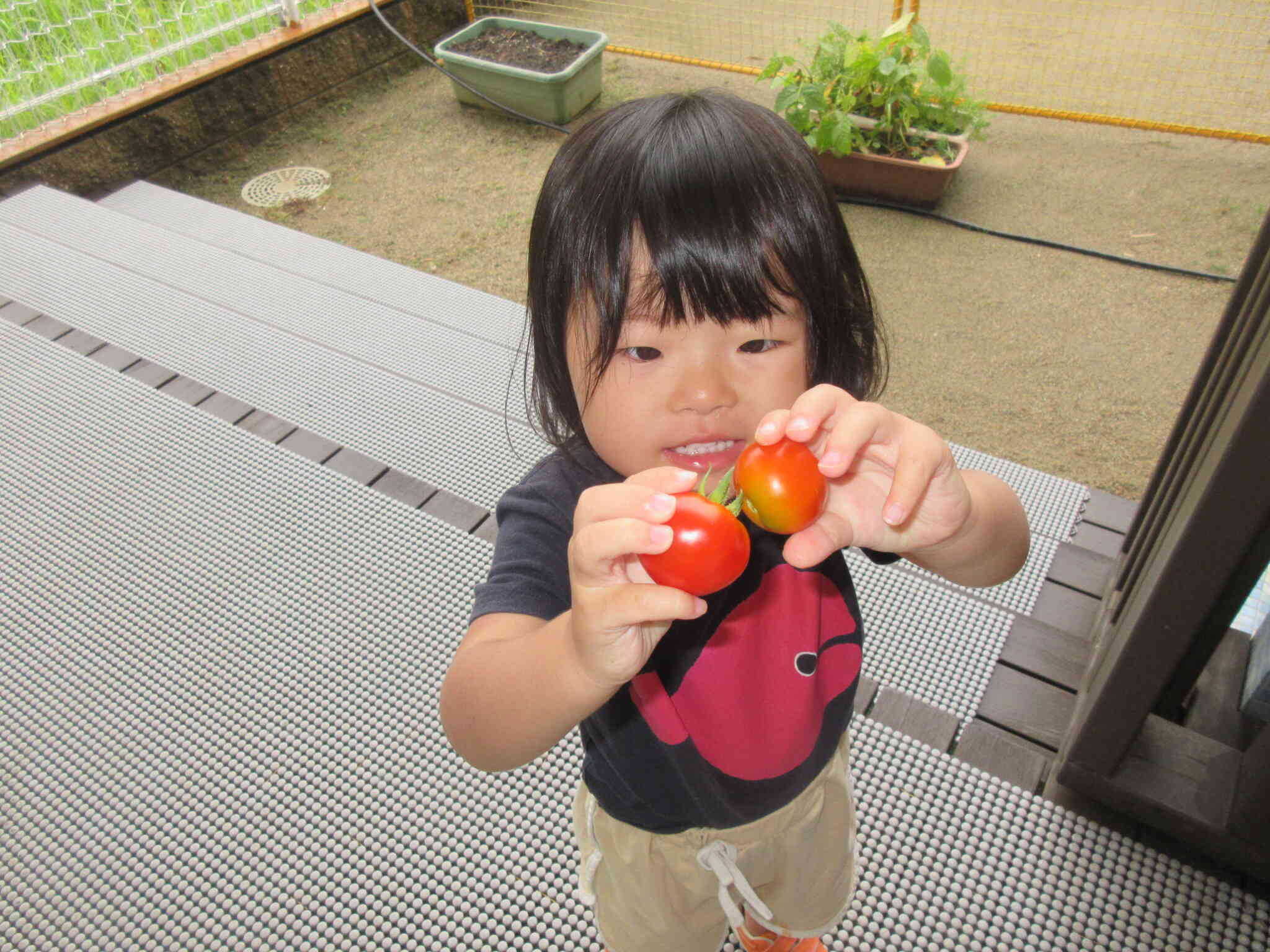 トマト　うれしいな♪