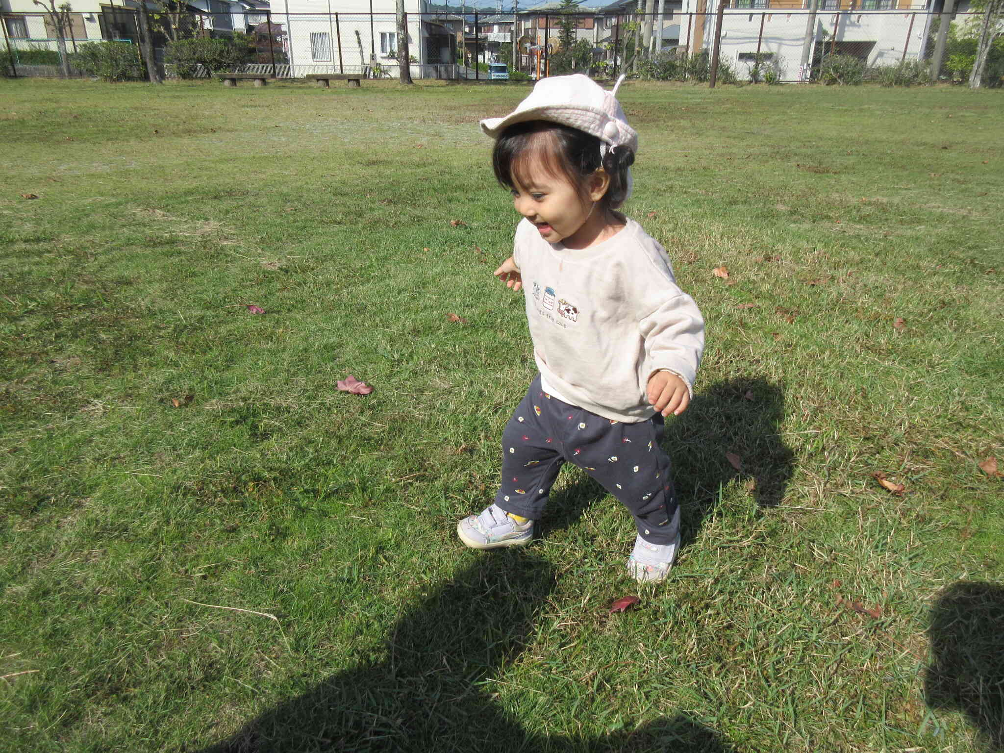 秋のお散歩　ひよこぐみ