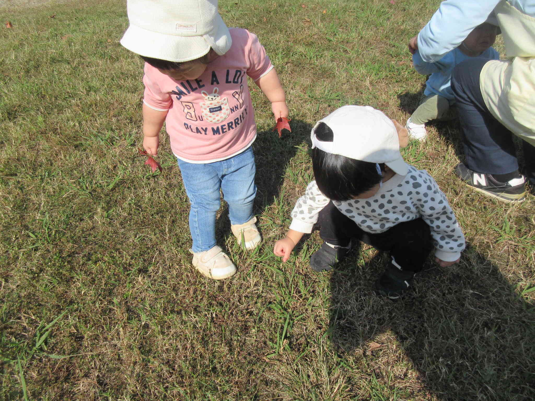 バッタさんいるかなぁ？