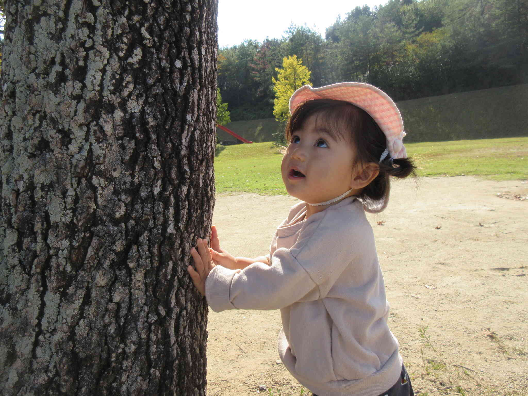 うわぁ大きいね。